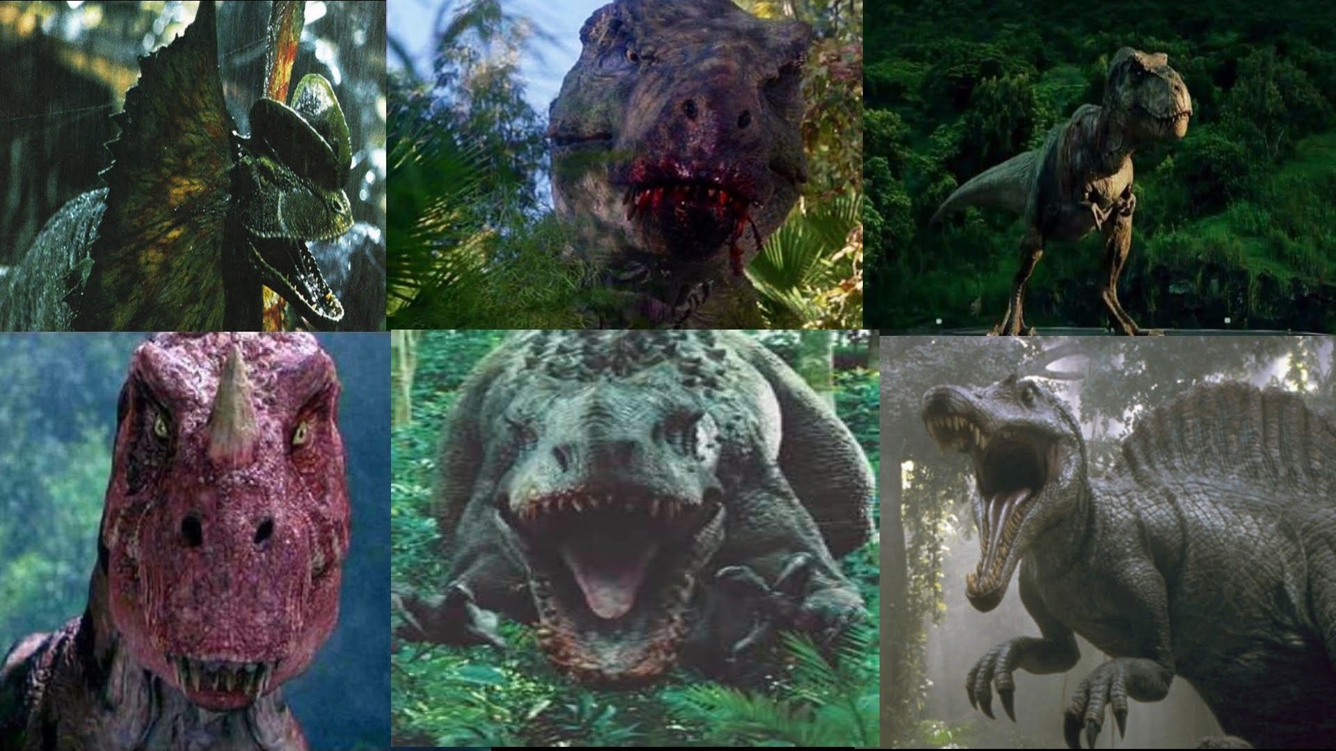 Ceratosaurus vs t rex