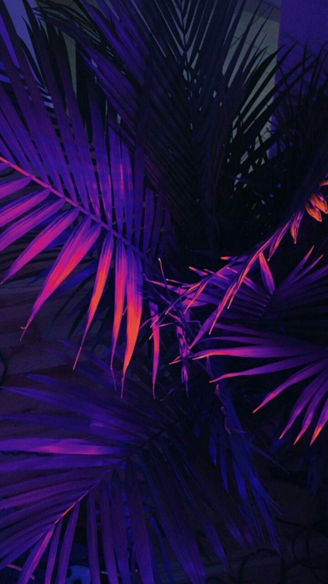 Purple Neon Aesthetic Wallpapers Wallpaper Cave