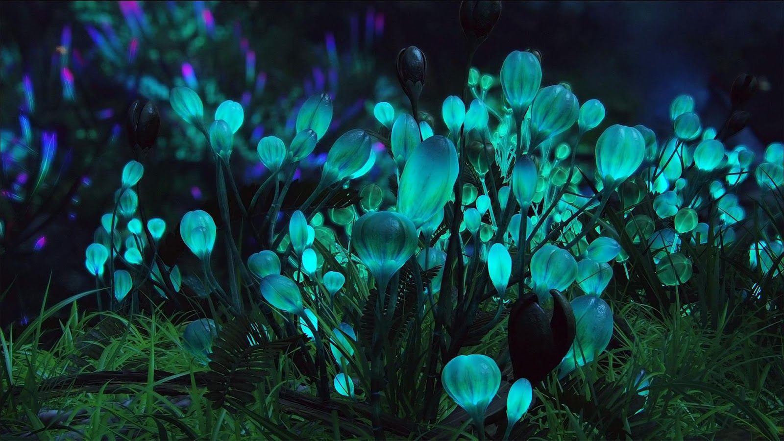 Avatar glowing plant life. Alien plants, Flower wallpaper