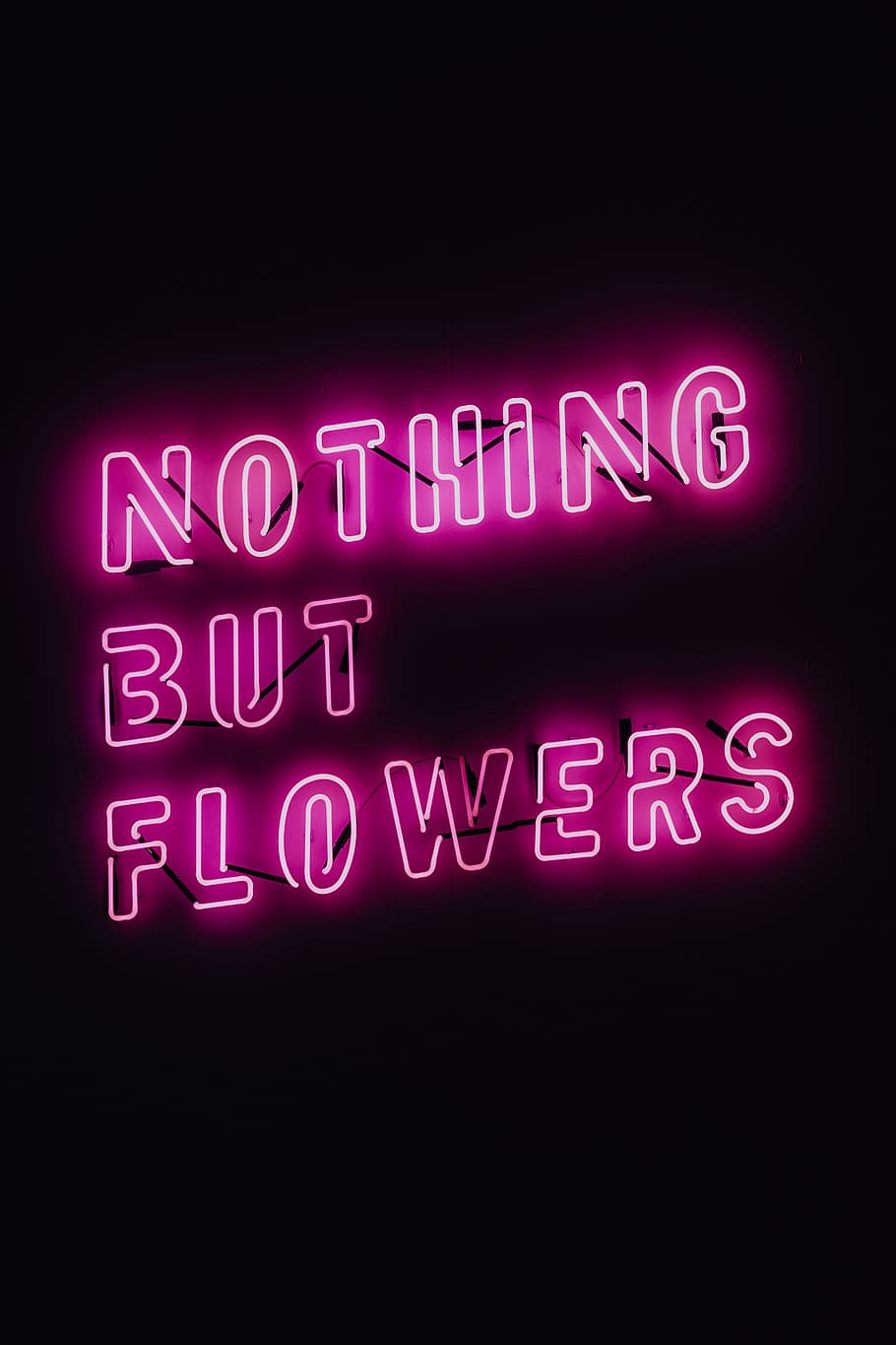 HD wallpaper: Nothing But Flowers Glowing Neon, quote, light, pink
