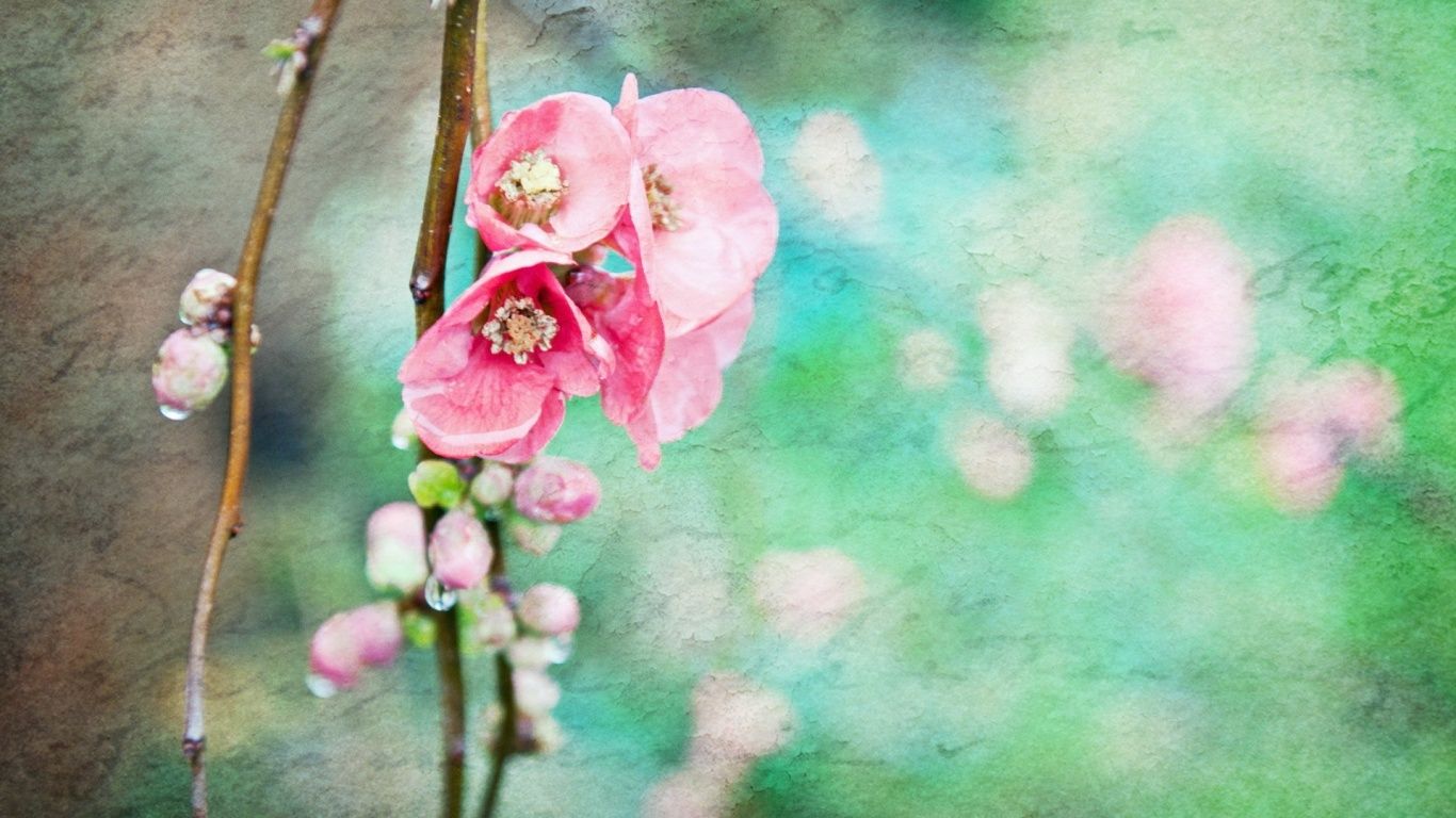 Artistic Spring Flowers desktop PC and Mac wallpaper