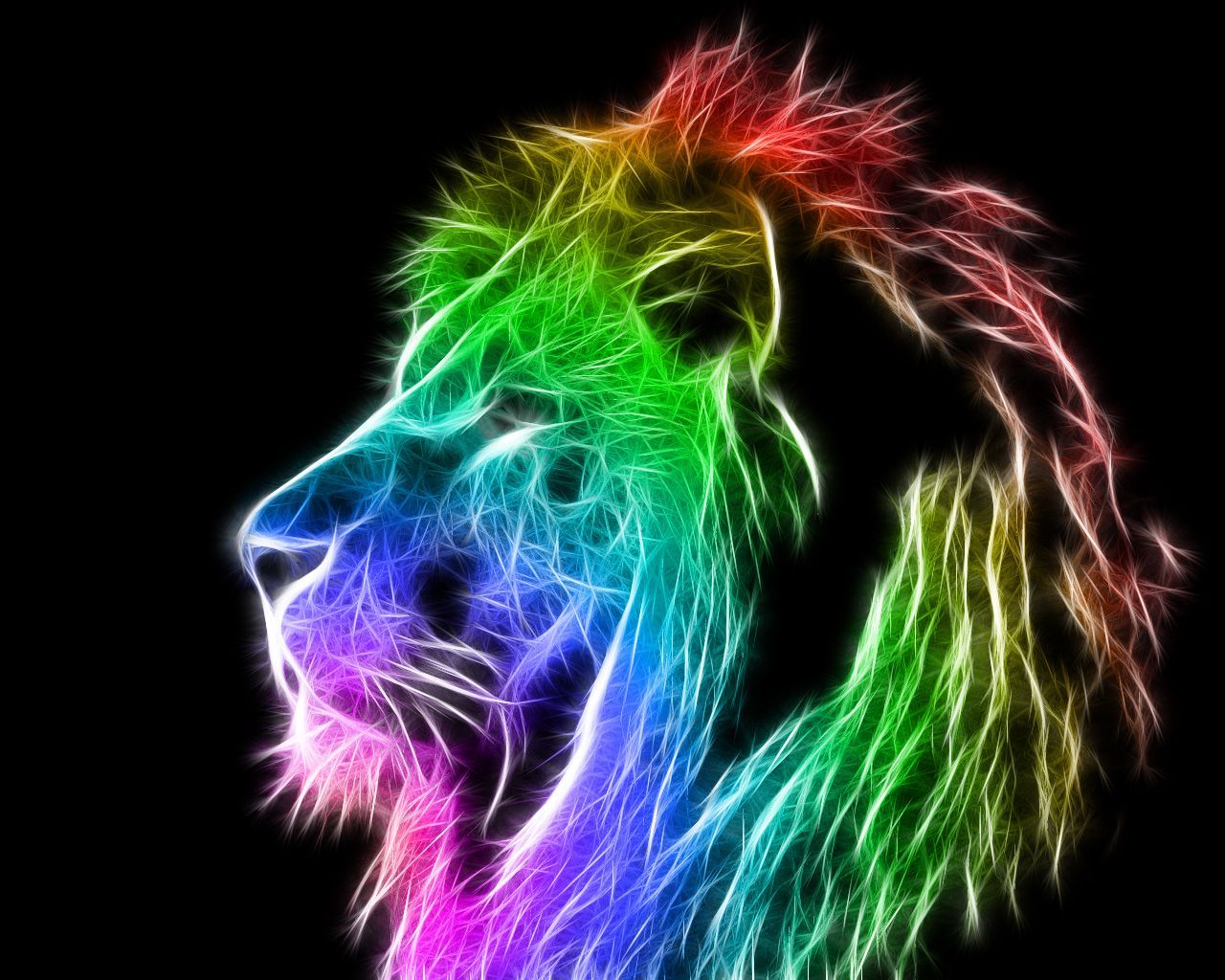 Colorful Lion Wallpaperx1024. Colorful lion, Rainbow lion, Abstract lion
