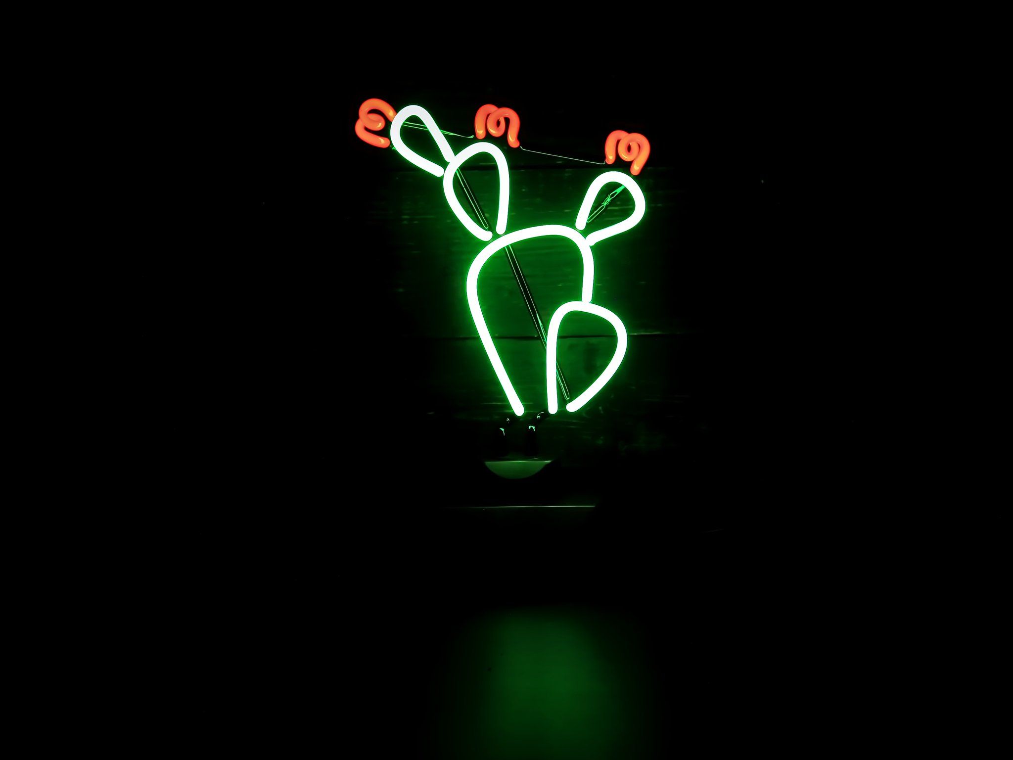 Cactus Neon Sign Wallpaper 66616 2048x1536px