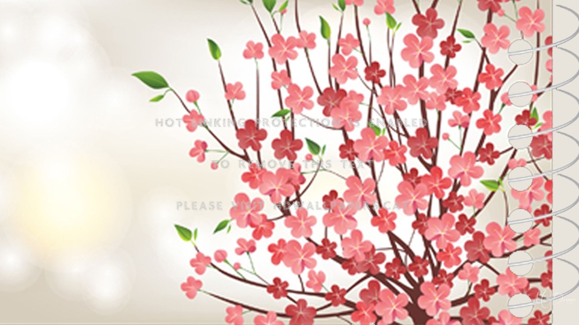 spring notebook flowers sakura blossoms