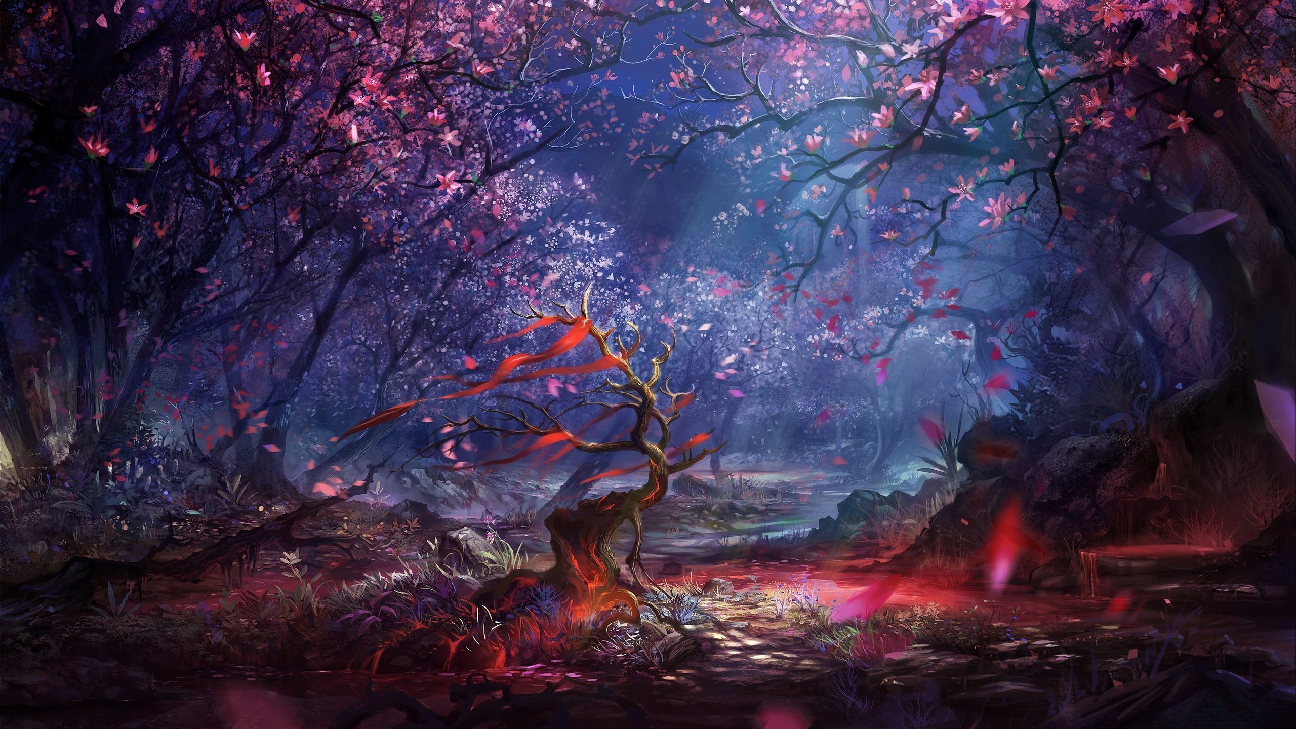 Fantasy Forest Widescreen Wallpaper High Resolution Wallpaper