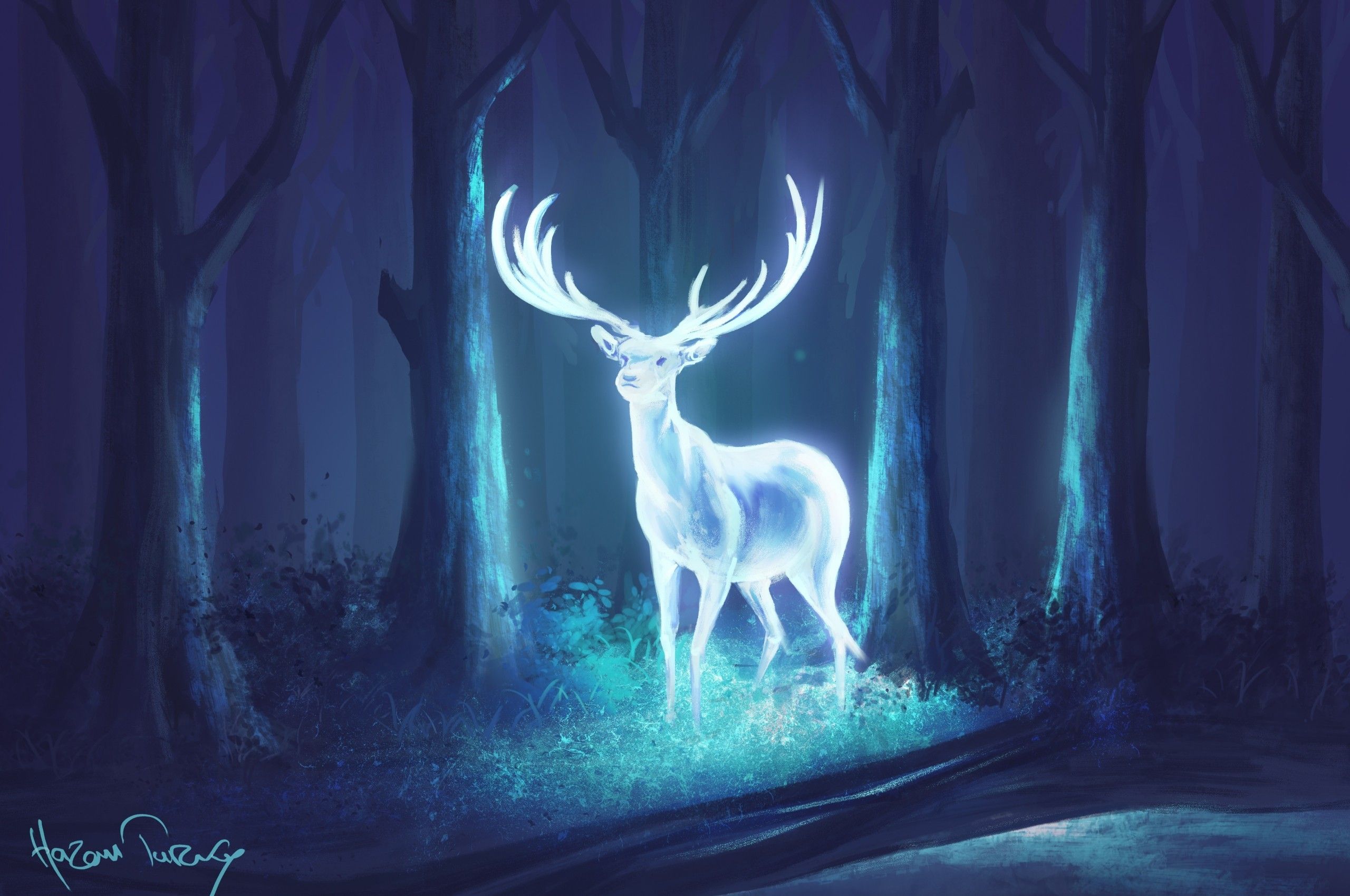 Download 2560x1700 Deer, Glow, Fantastic Creatures, Forest