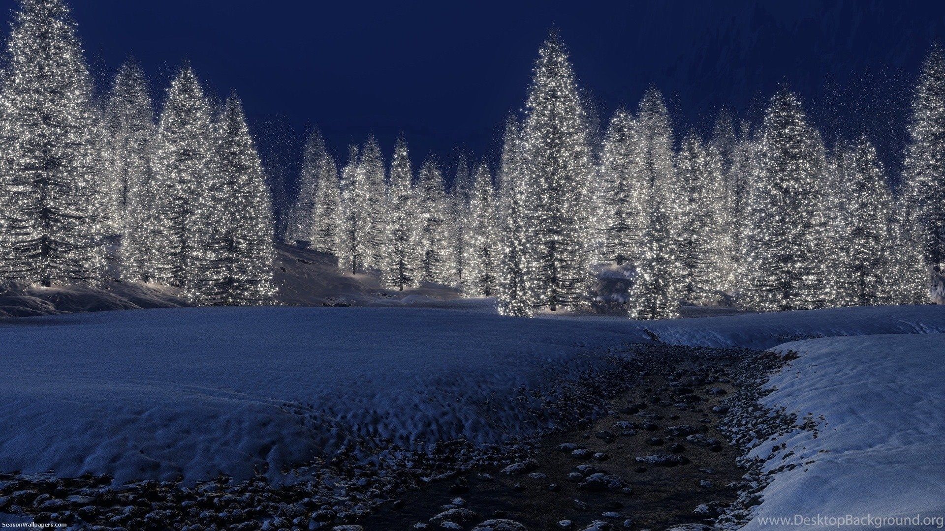 Wallpaper 1920x1080 The Forest Of Glowing Christmas Tree At Night Desktop Background