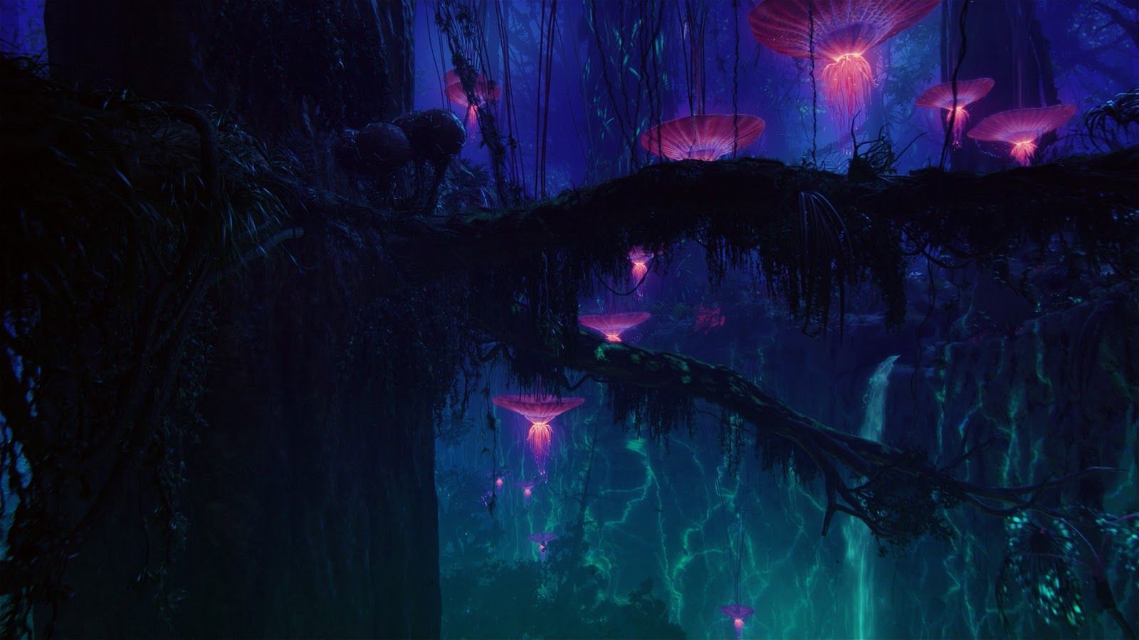 avatar forest. Avatar image, Fantasy landscape, Avatar tree