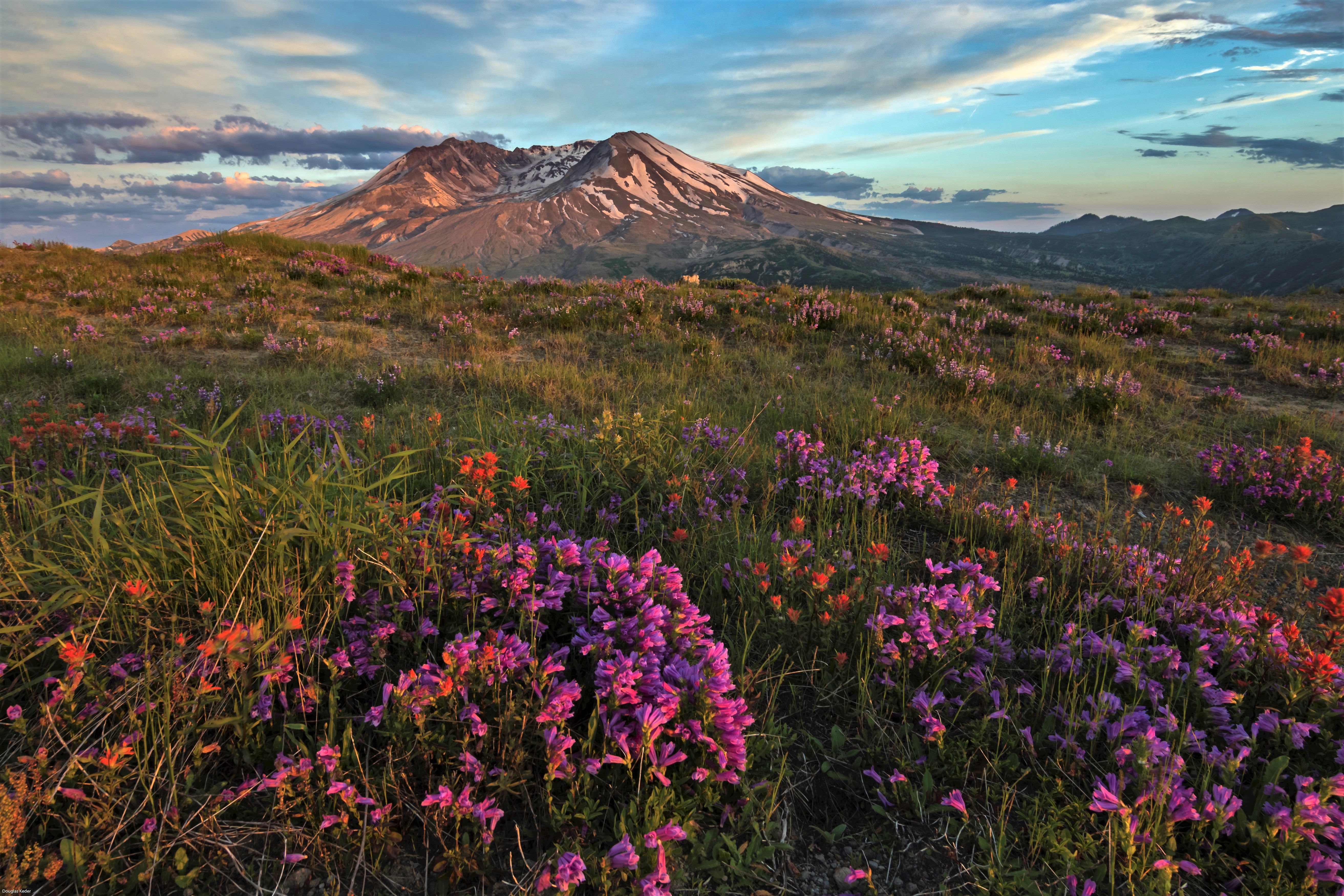 Mount Saint Helen's National Park 5k Retina Ultra HD Wallpaper