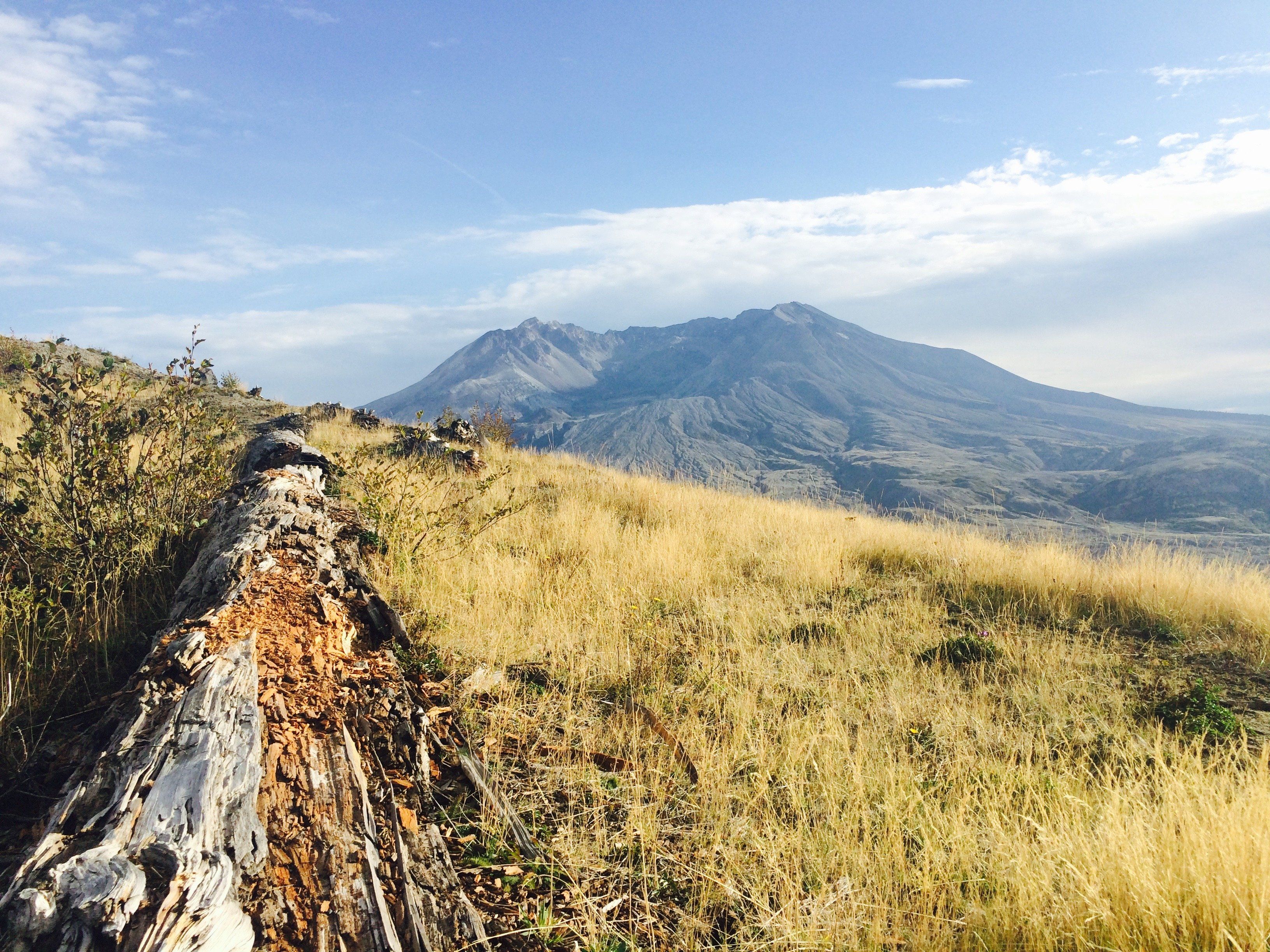 Shattered Log Leading to the Force That Broke It Years Ago Mt St