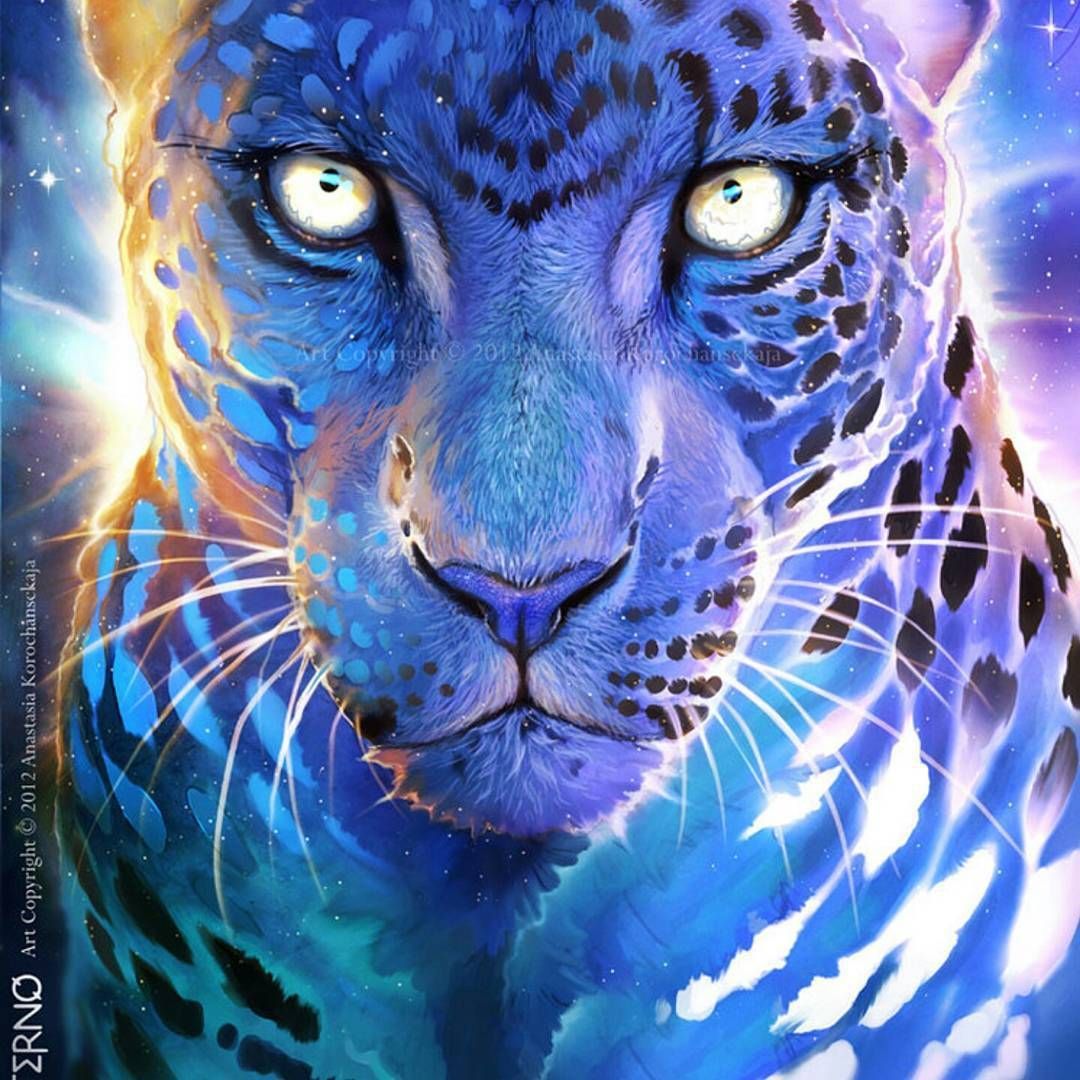 Balaa_deviantart Beautiful blue tiger