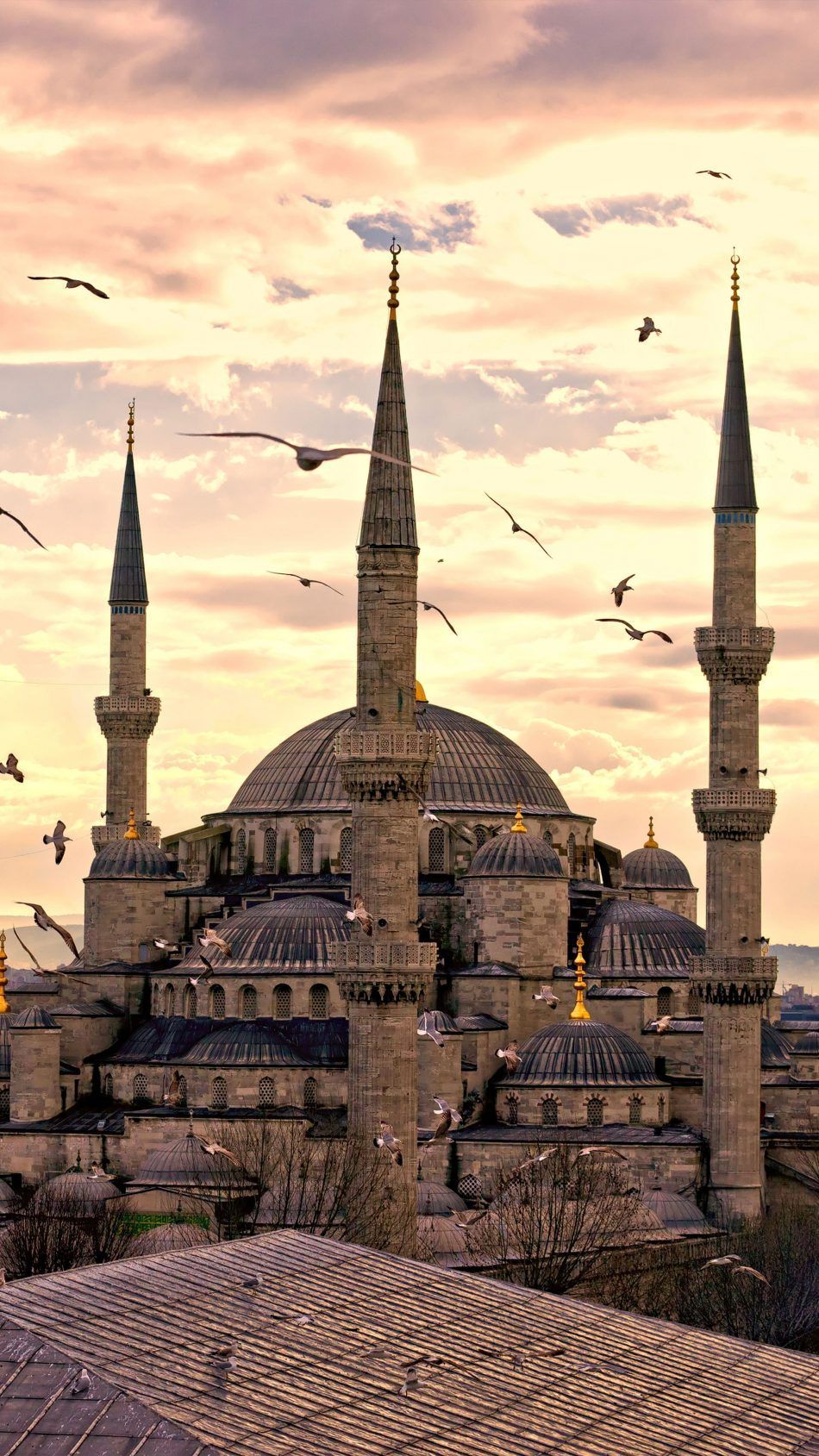 Sultanahmet Mosque Istanbul Turkey. Hagia sophia, Istanbul, Mesjid