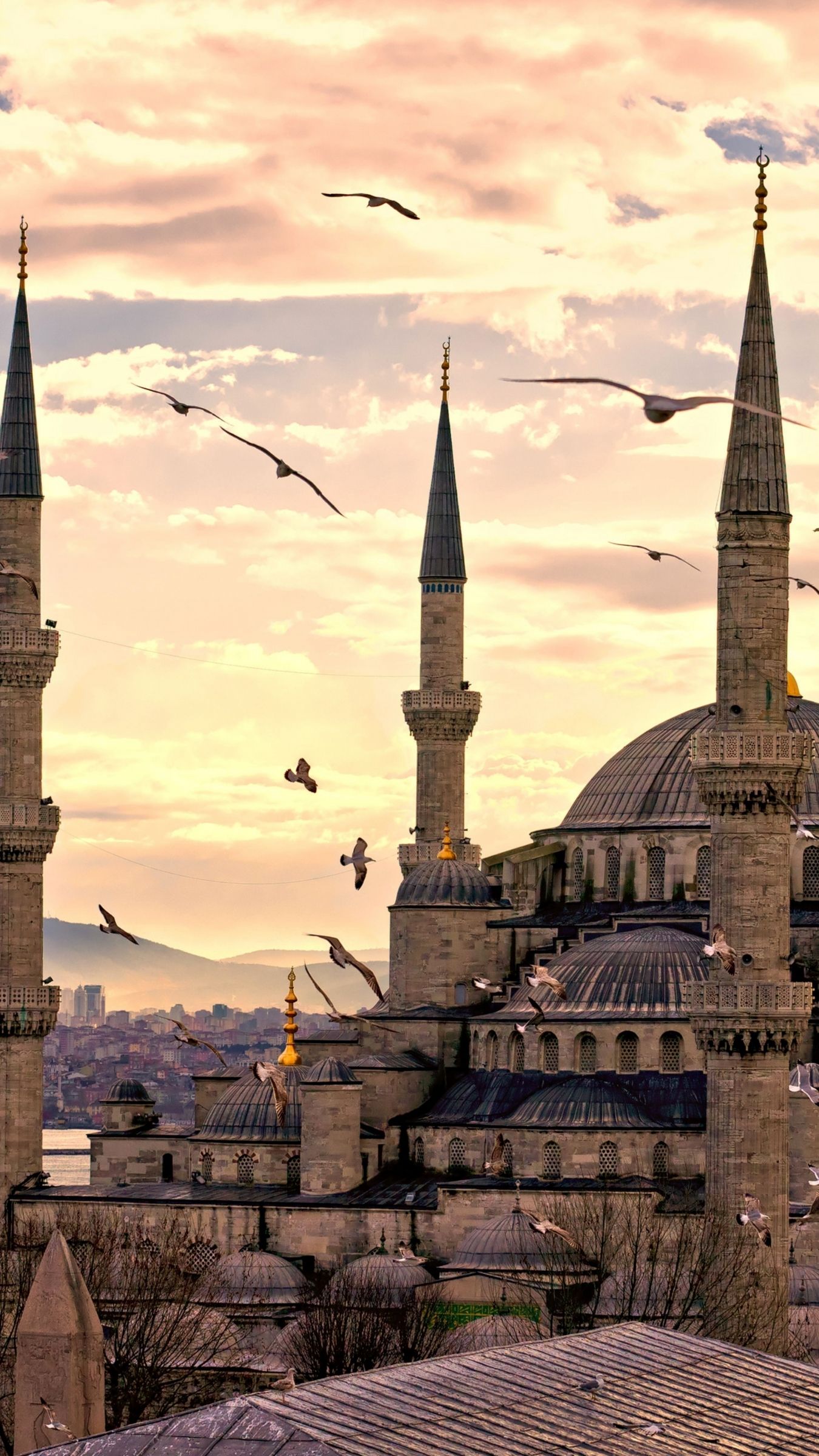 Download Sultan Ahmed Mosque, Istanbul, Turkey, Travel, Tourism Apple iPhone Plus wallpaper 1350x2400