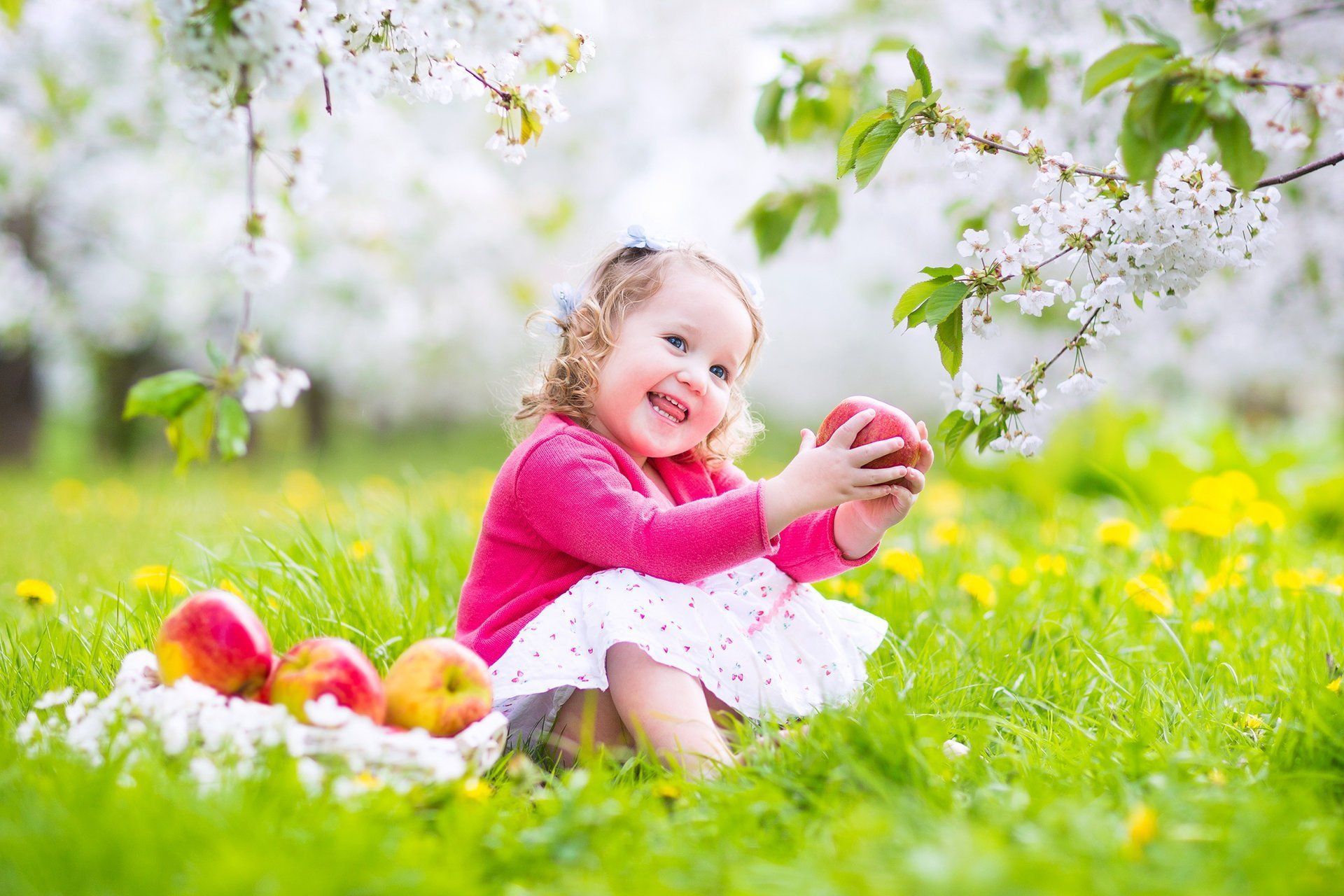 child happiness spring grass flower flowering trees baby joy