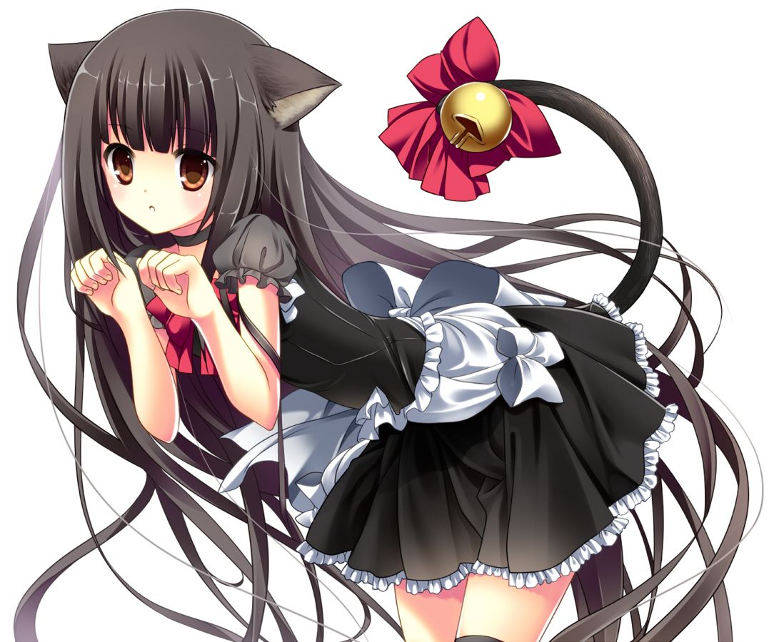 2012 09 12 528445.jpeg (1077×900). Neko Girl, Blushing Anime