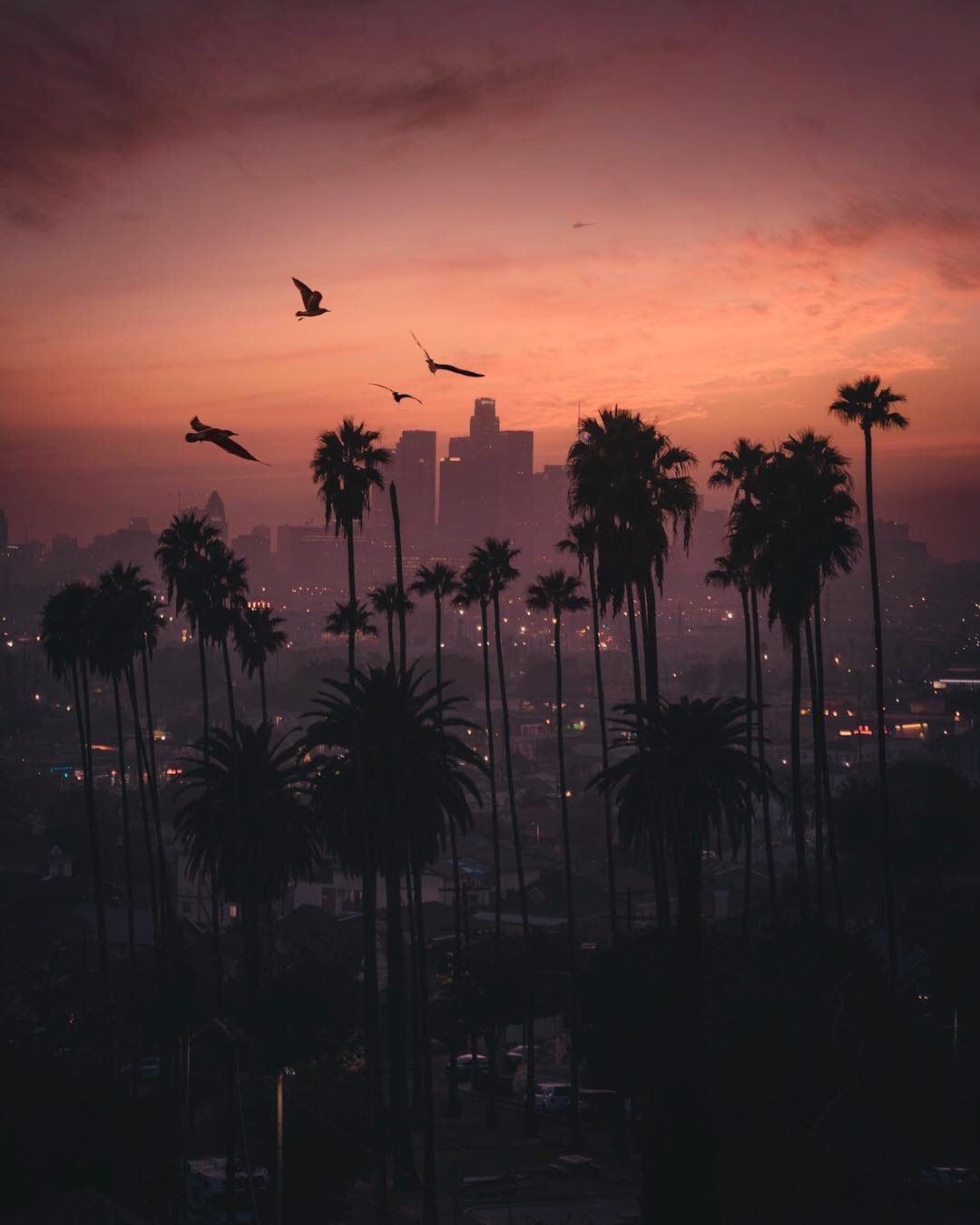 Placiies on. City iphone wallpaper, Sunset city, California wallpaper