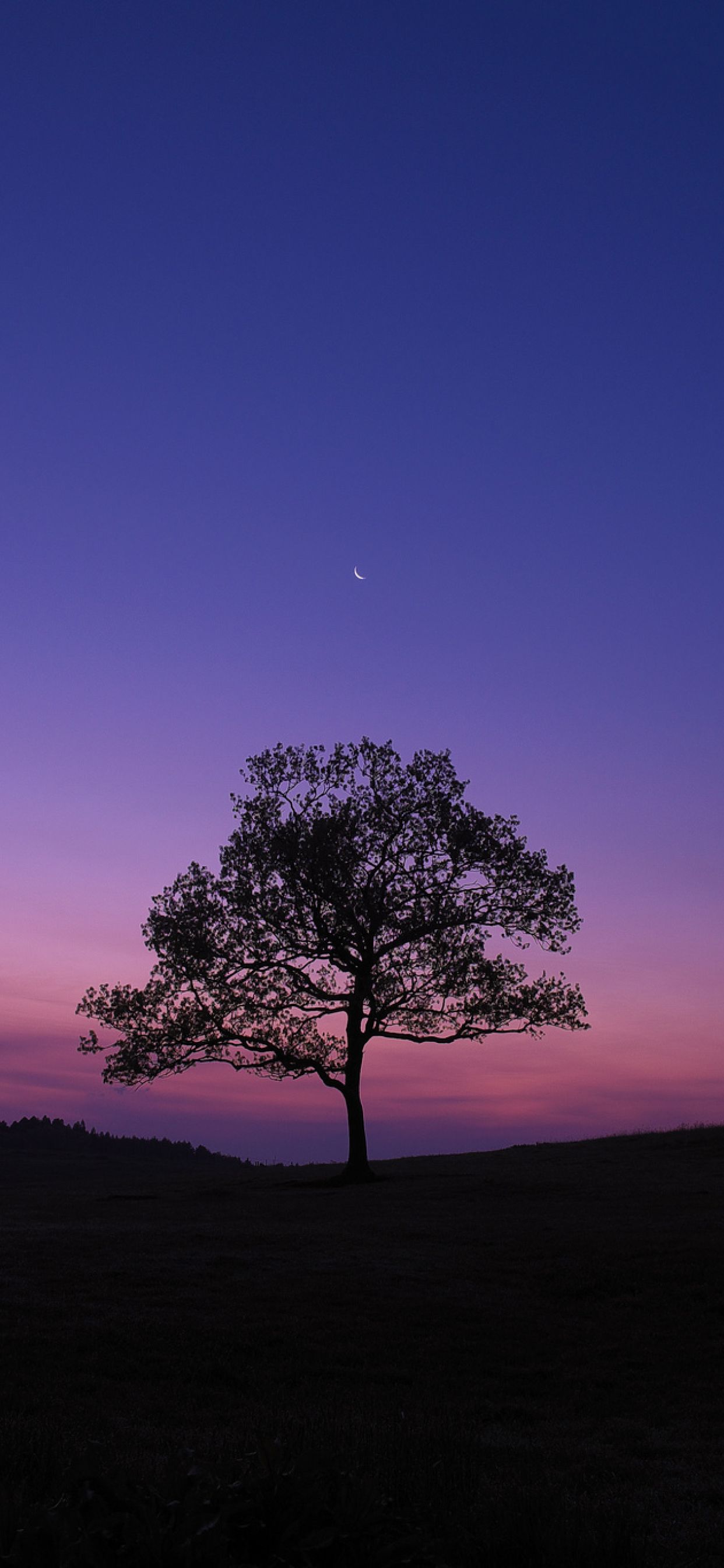 Dark Sky Tree Purple Sky Nature iPhone XS MAX Wallpaper