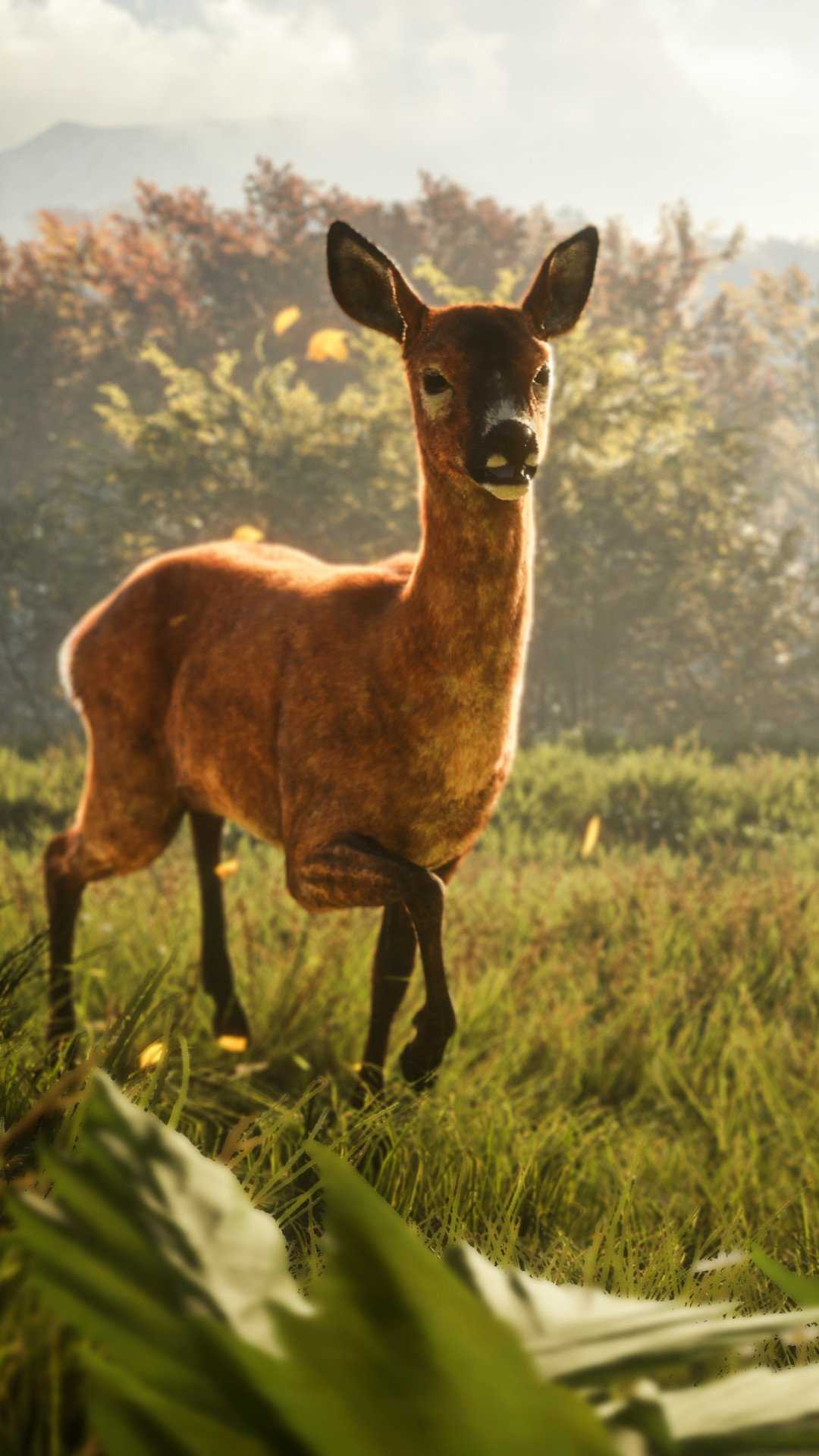 The Hunter Call of The Wild HD Wallpaper (1080x1920)