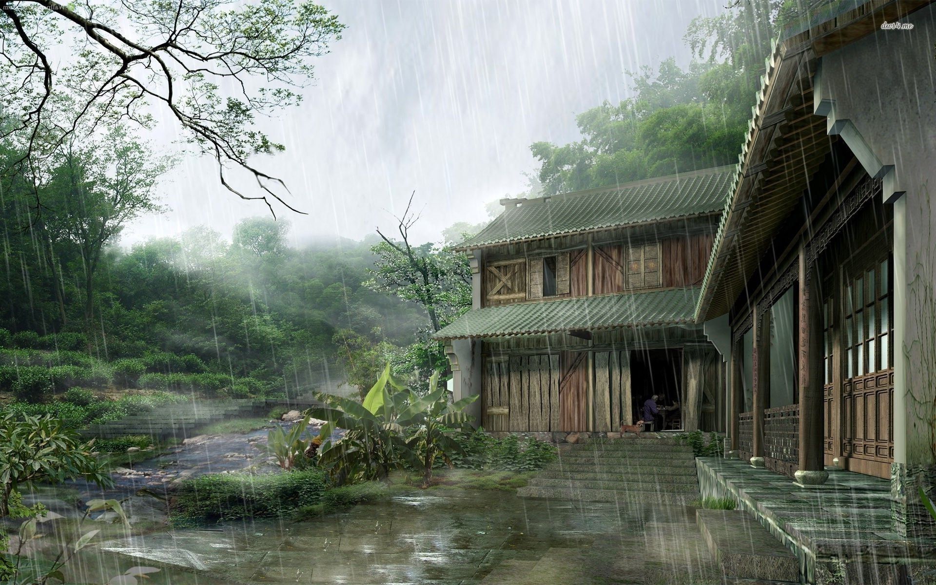 Nature Raining In Village Wallpaper