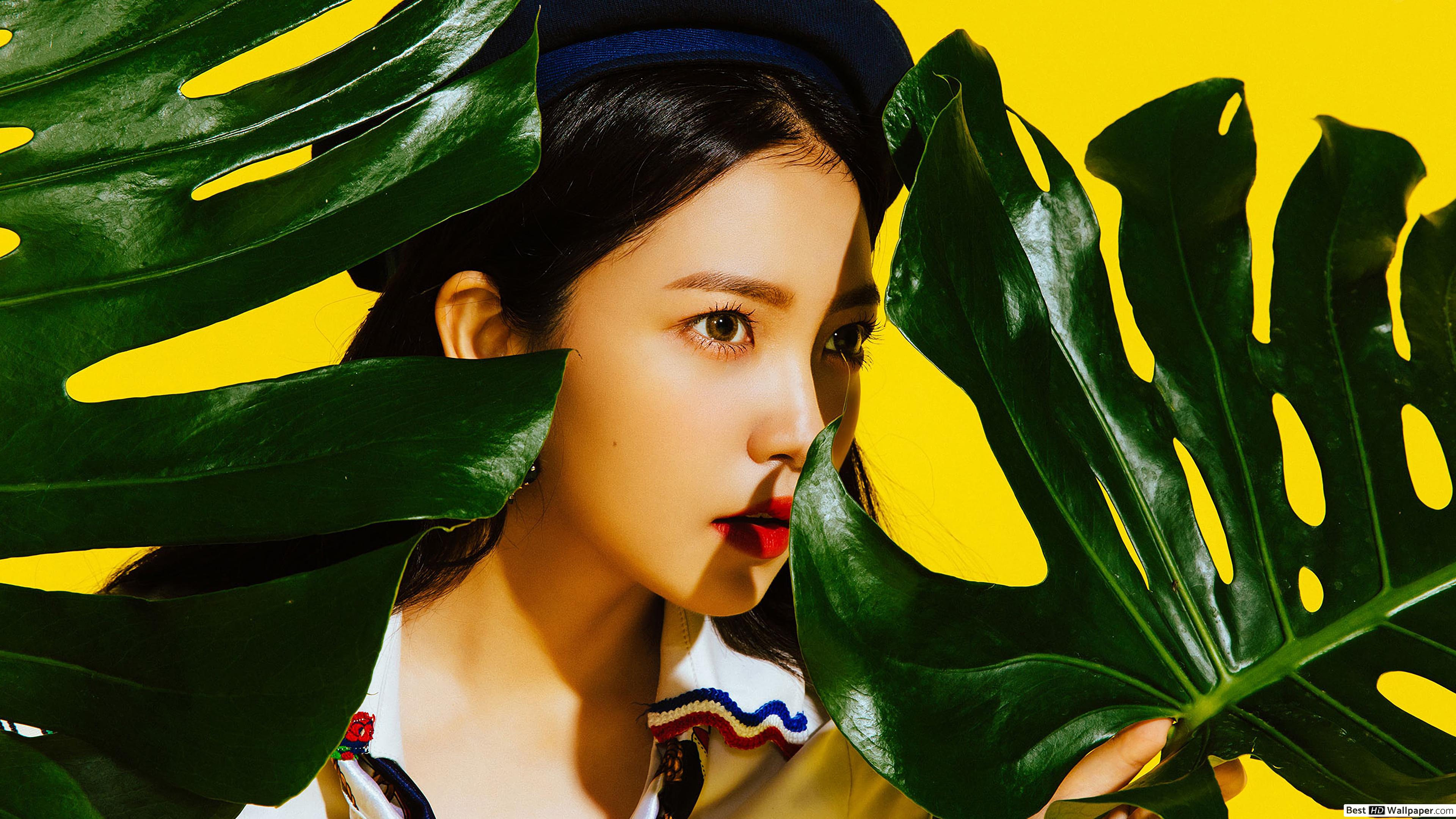 Yeri Desktop Wallpapers Wallpaper Cave