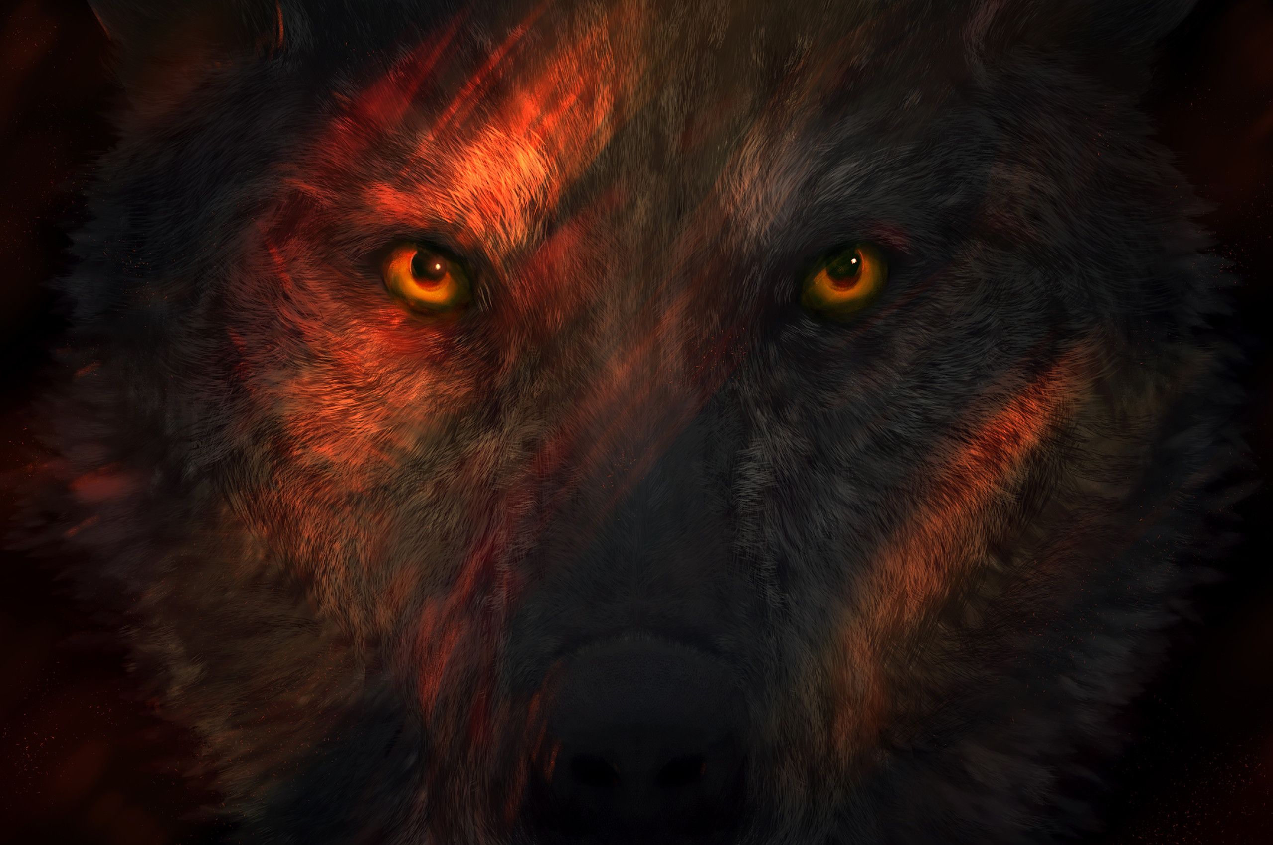 Wild Wolf Eyes Chromebook Pixel HD 4k Wallpaper, Image