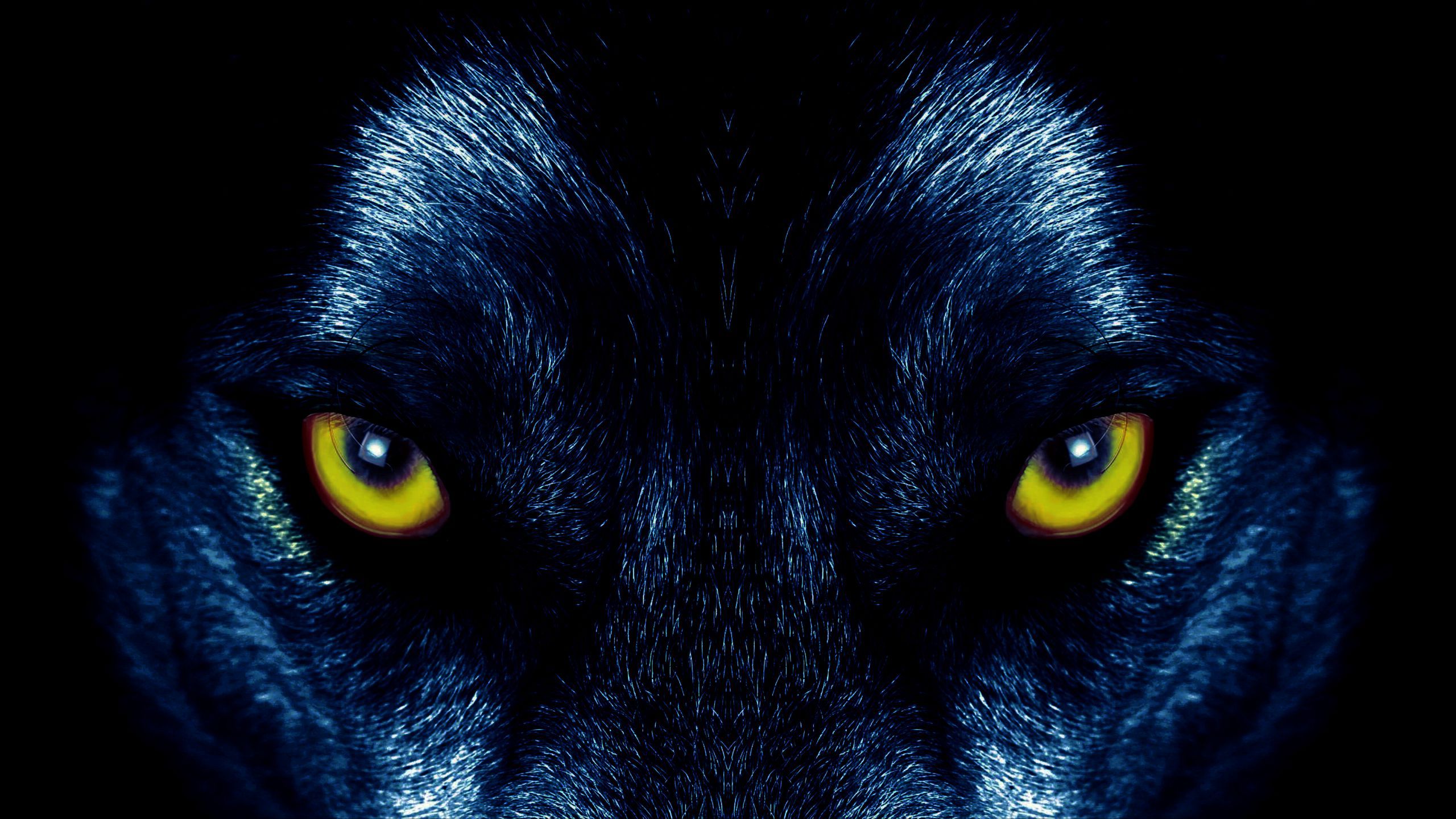 Wolf Eye Desktop Wallpapers - Wallpaper Cave
