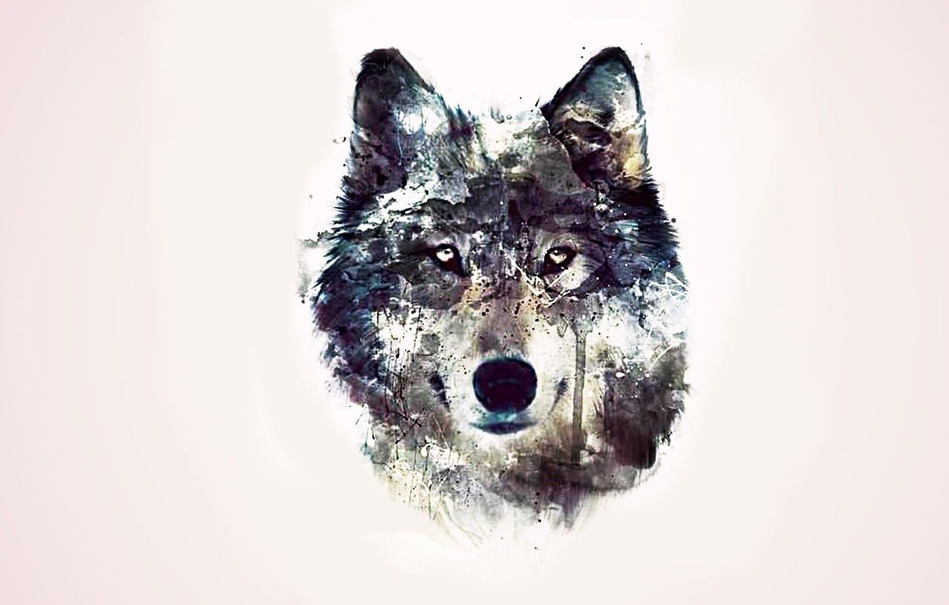 Wallpaper eyes, background, abstraction, wolf image for desktop