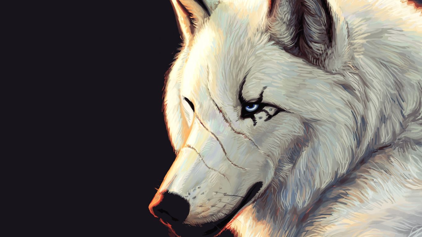 HD Wolf. Wolf art, Wolf wallpaper