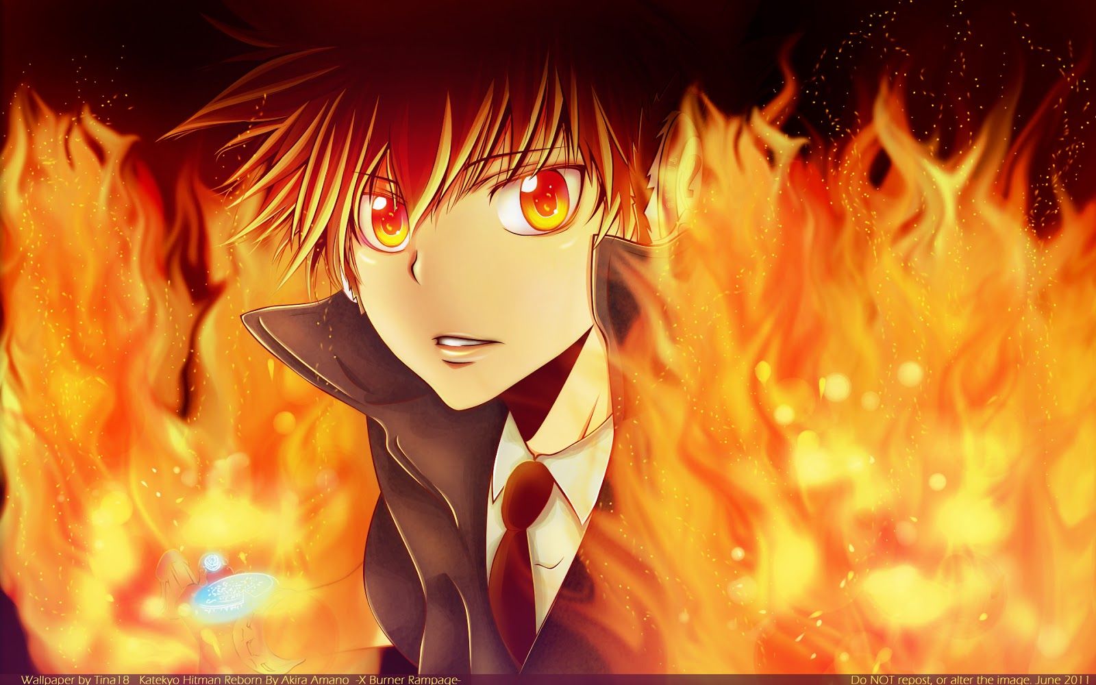 Free download Katekyo Hitman Reborn Tsuana Flame Anime HD