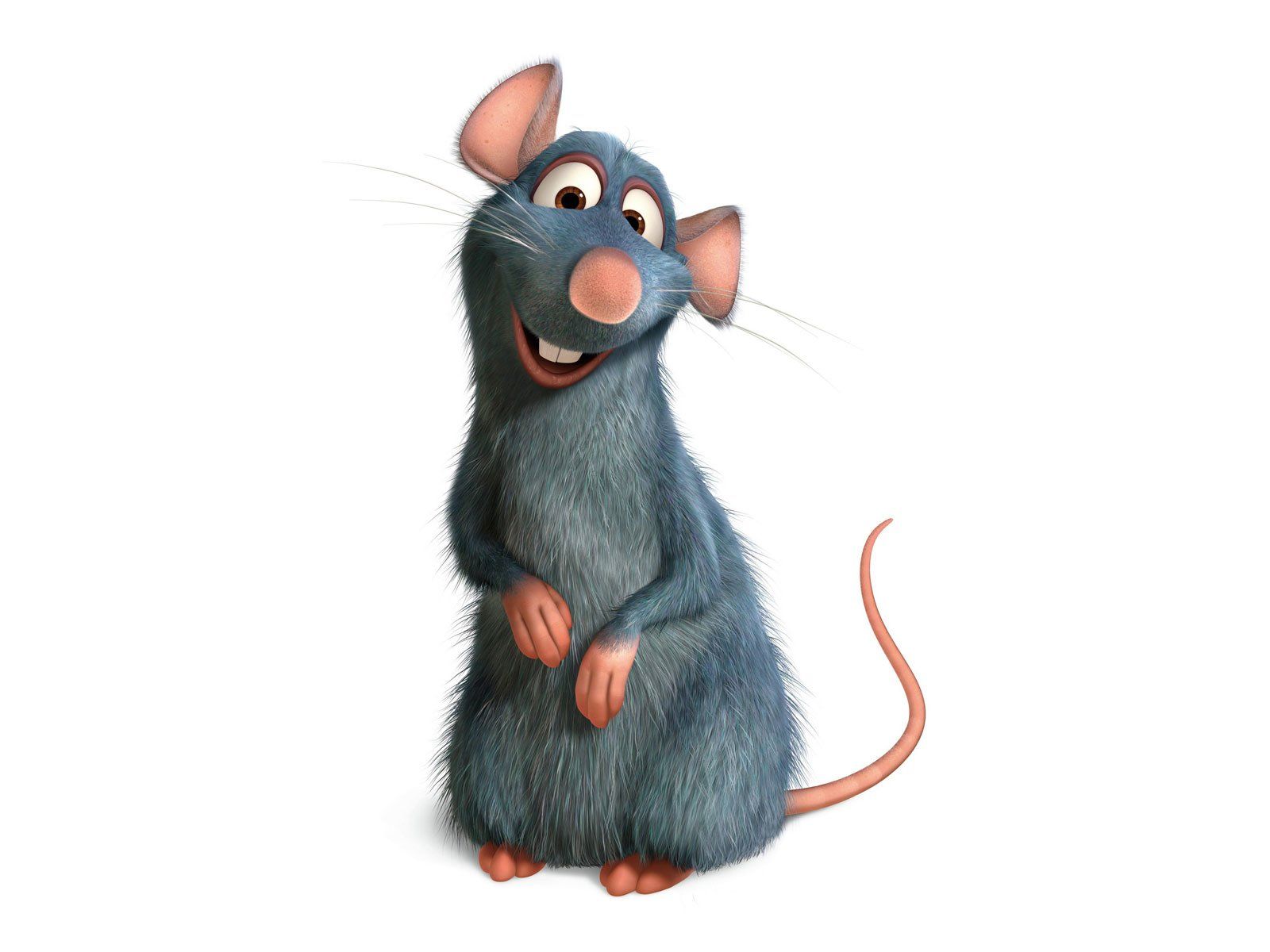 Ratatouille HD Wallpaper and Background Image