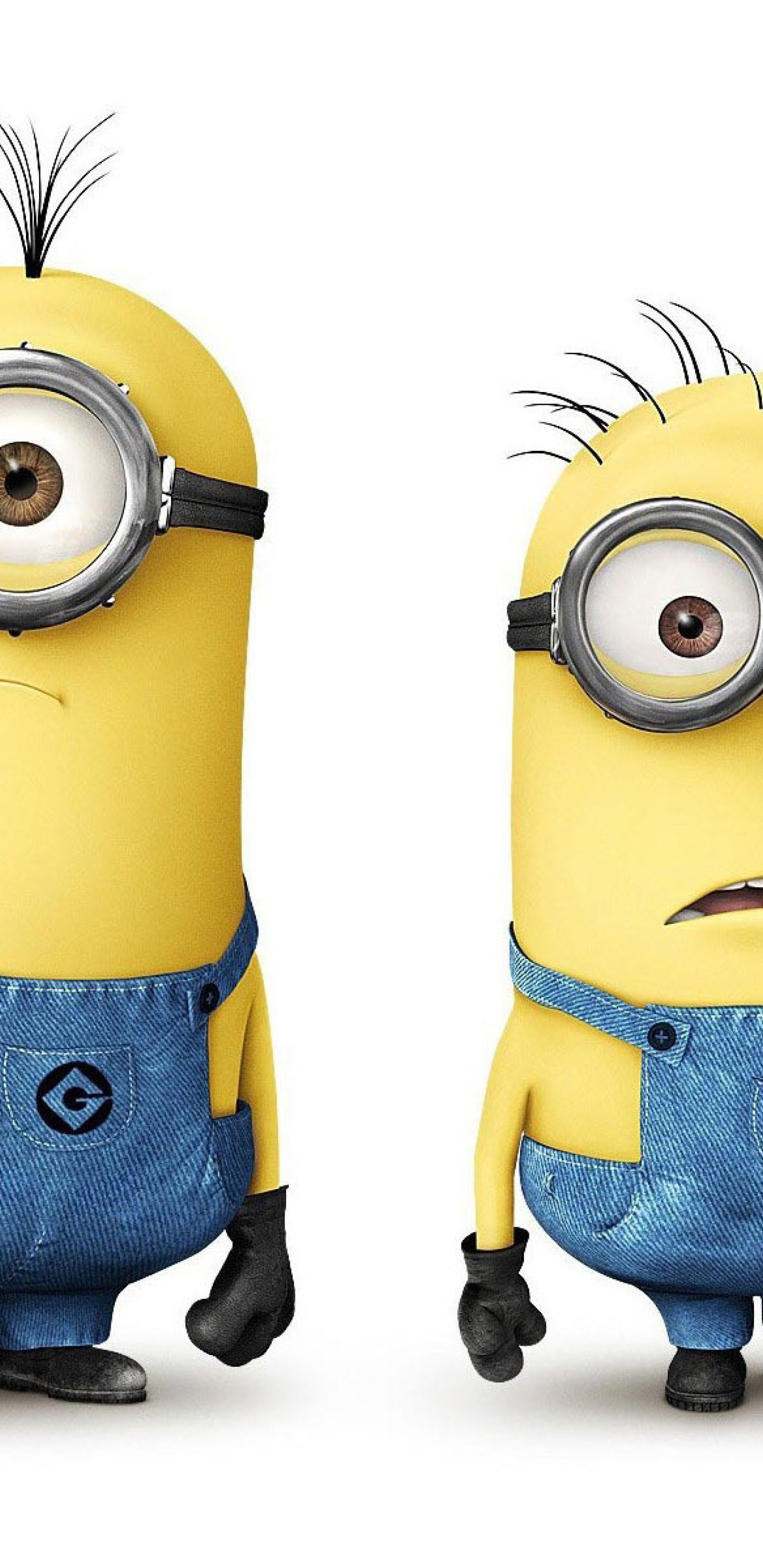 Tim And Phil Despicable Me Minions Wallpaper Samsung