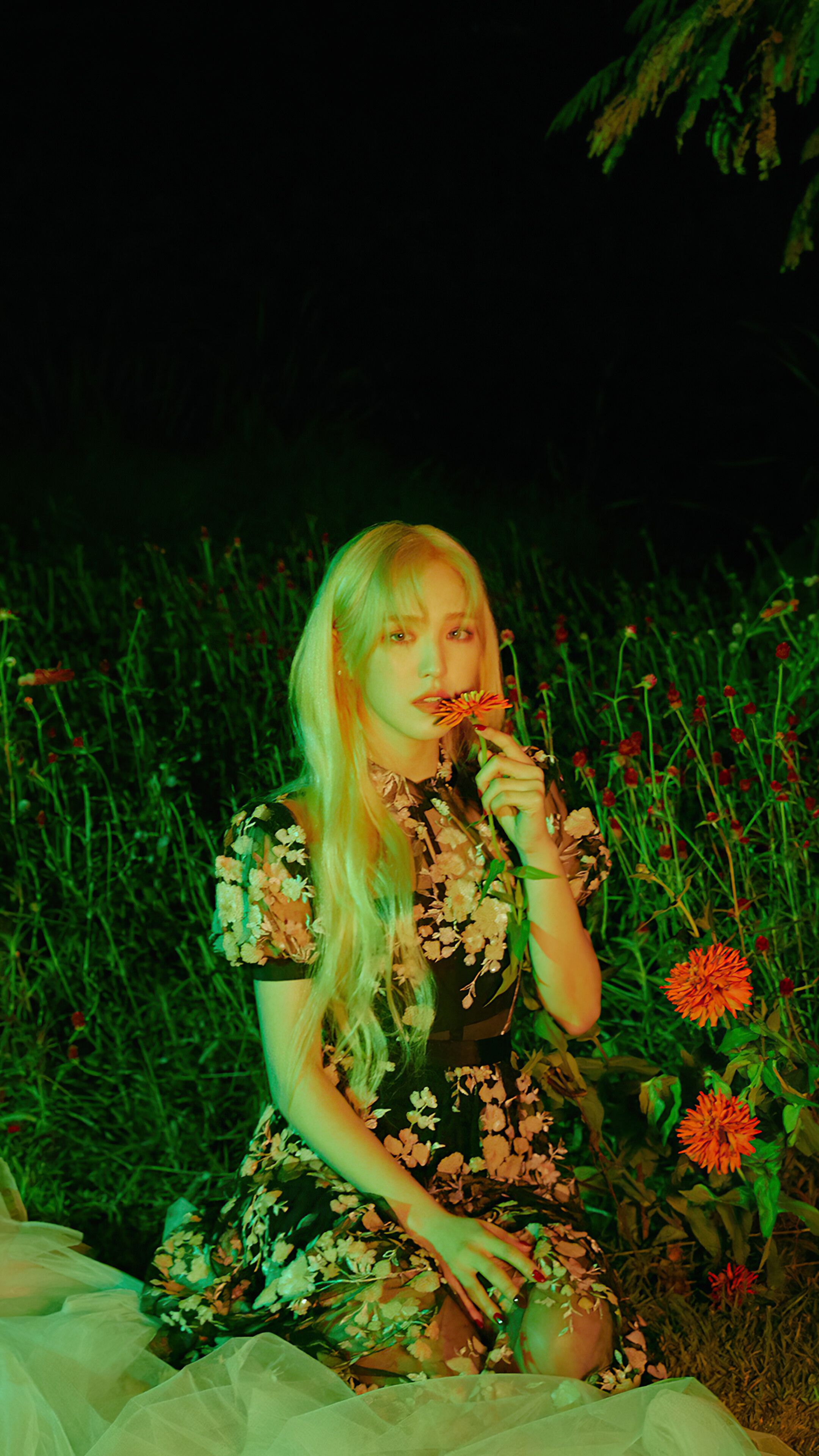 Red Velvet iPhone Wallpapers Wallpaper Cave