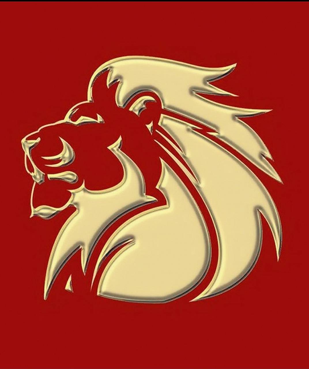 Lions rugby wallpaper