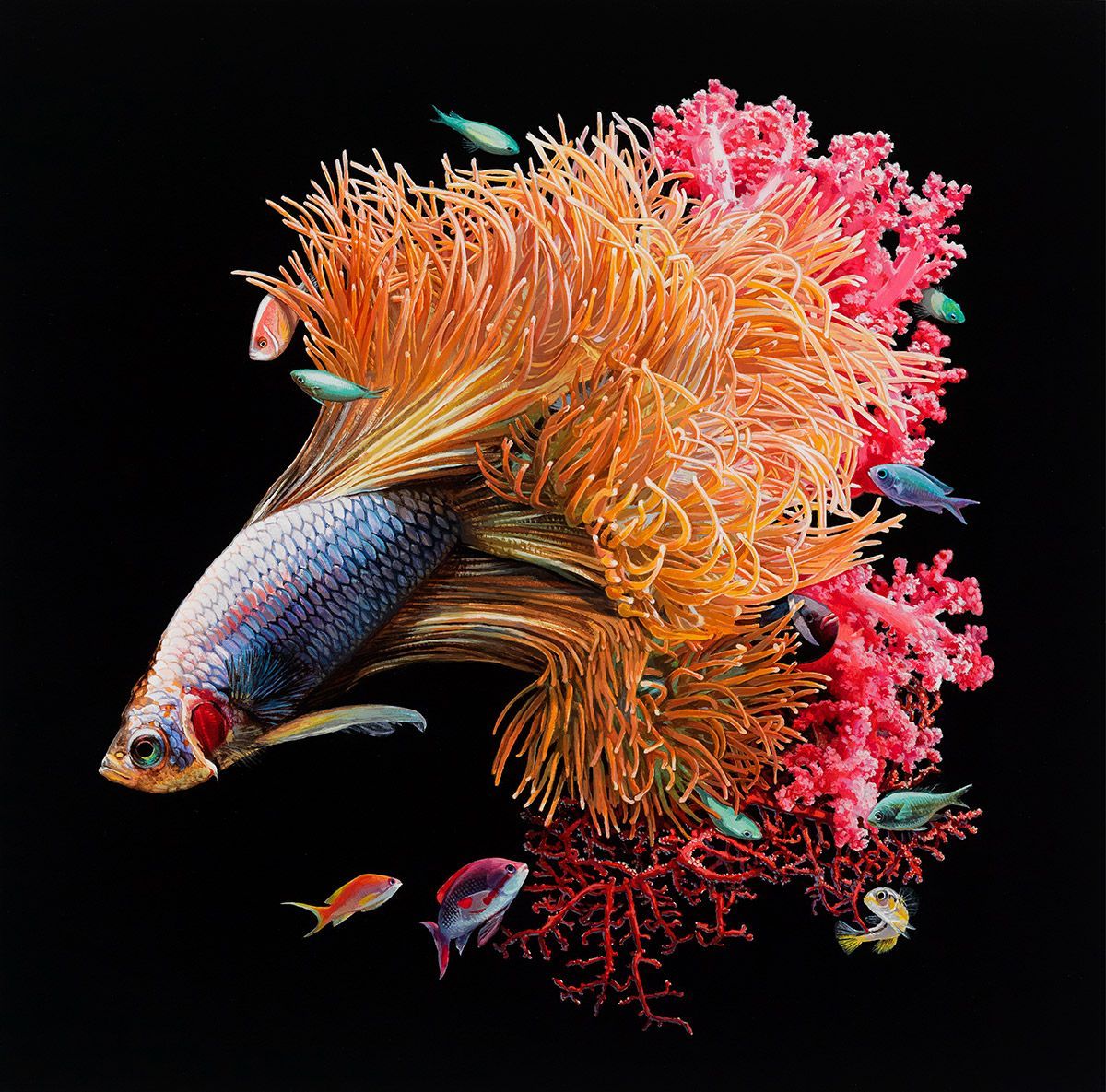 Hyper Realistic Fish Paintings By Lisa Ericson. Inspiration Grid