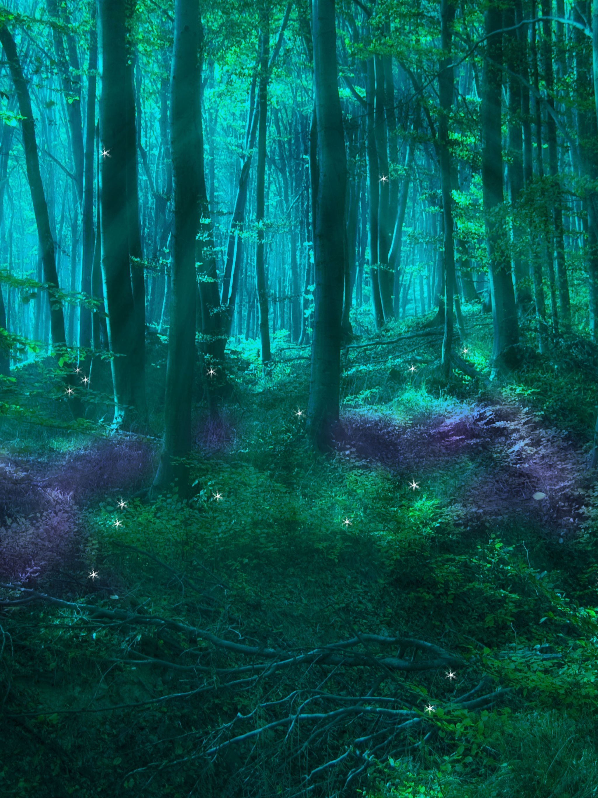 wallpaper magical forest
