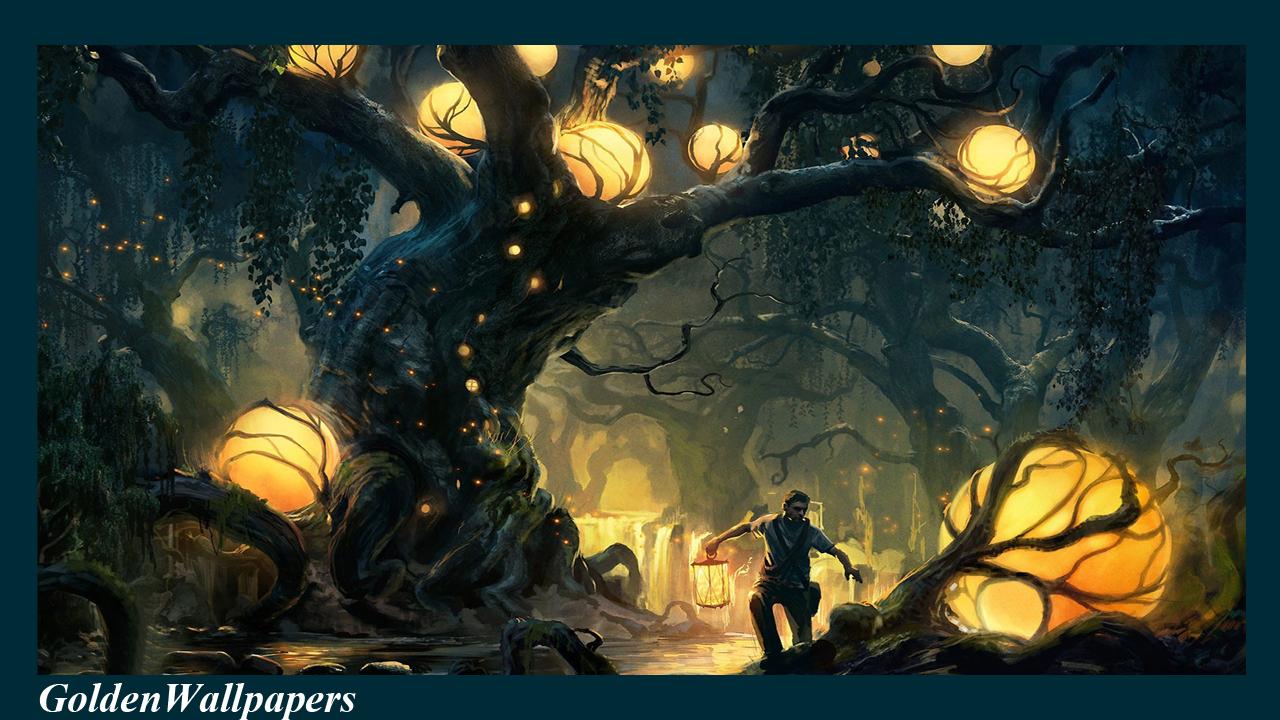 Enchanted Forest Wallpaper for Android