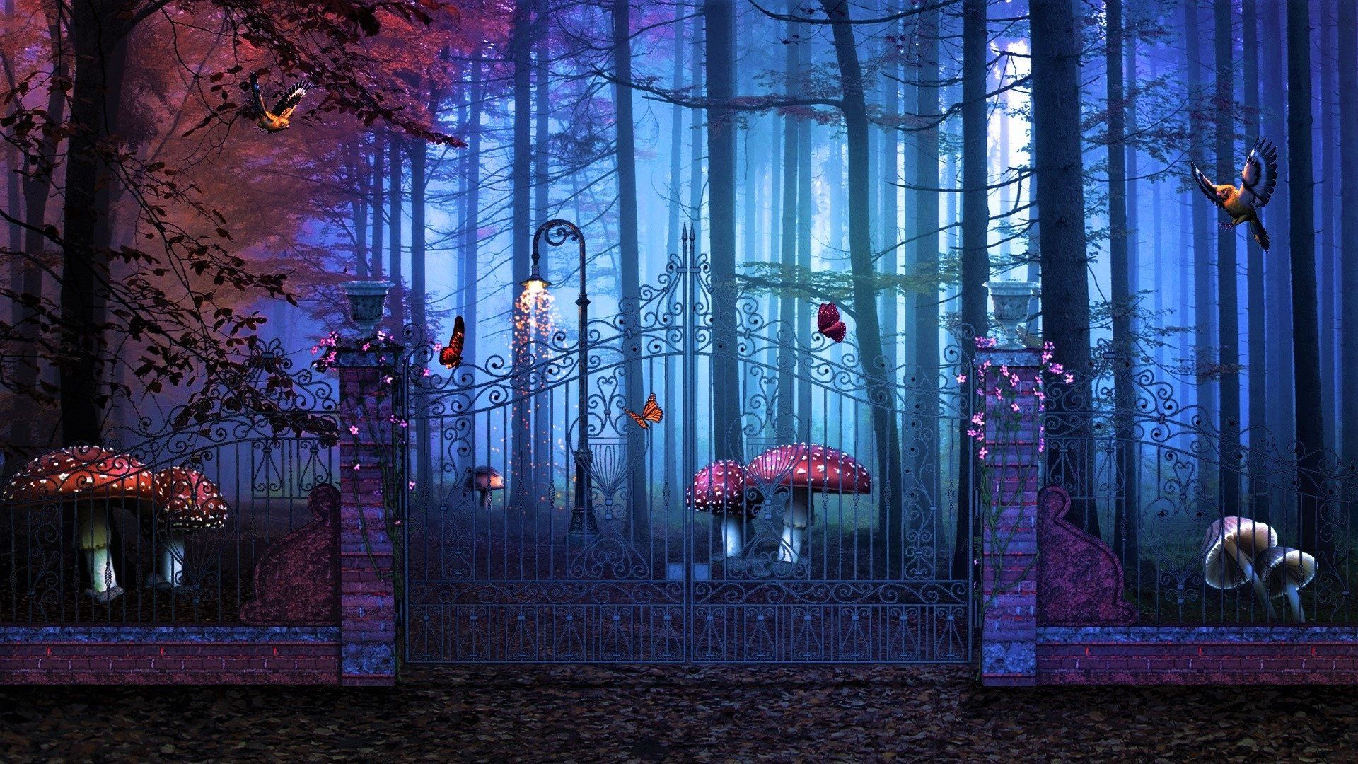 Gate to Enchanted Forest HD Wallpaper. Background Image