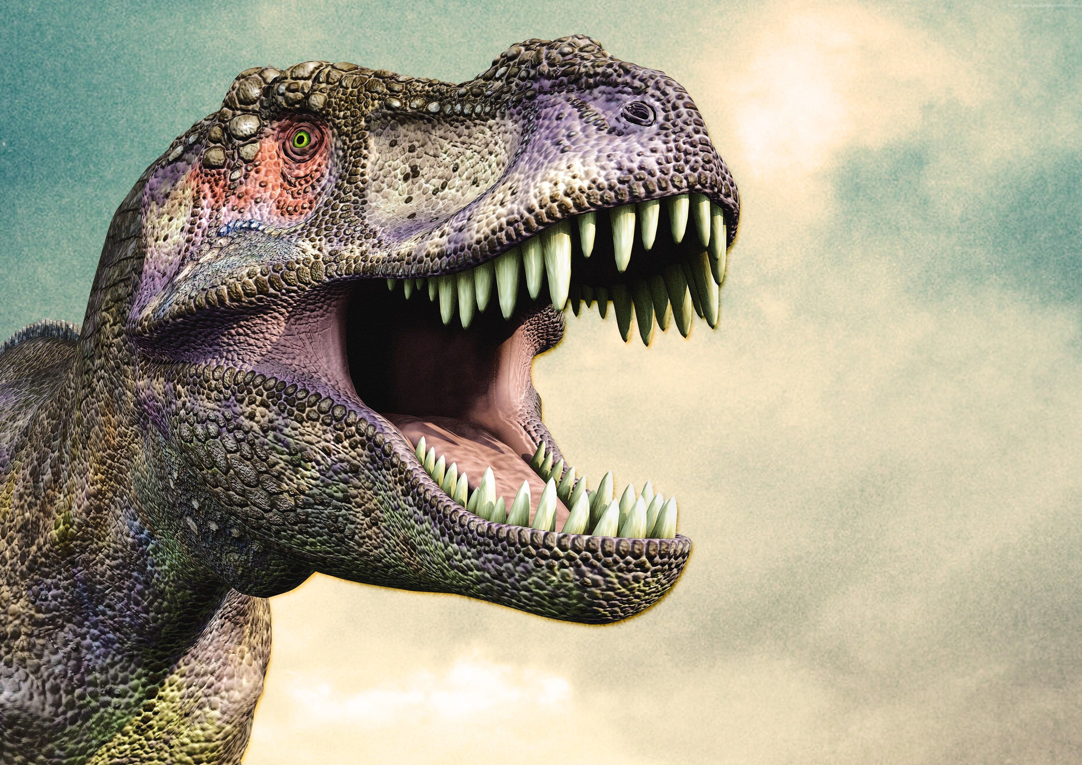 T Rex Dinosaur HD 4K Wallpapers Wallpaper Cave T Rex Dinosaur HD 4K Wallpapers Wallpaper Cave