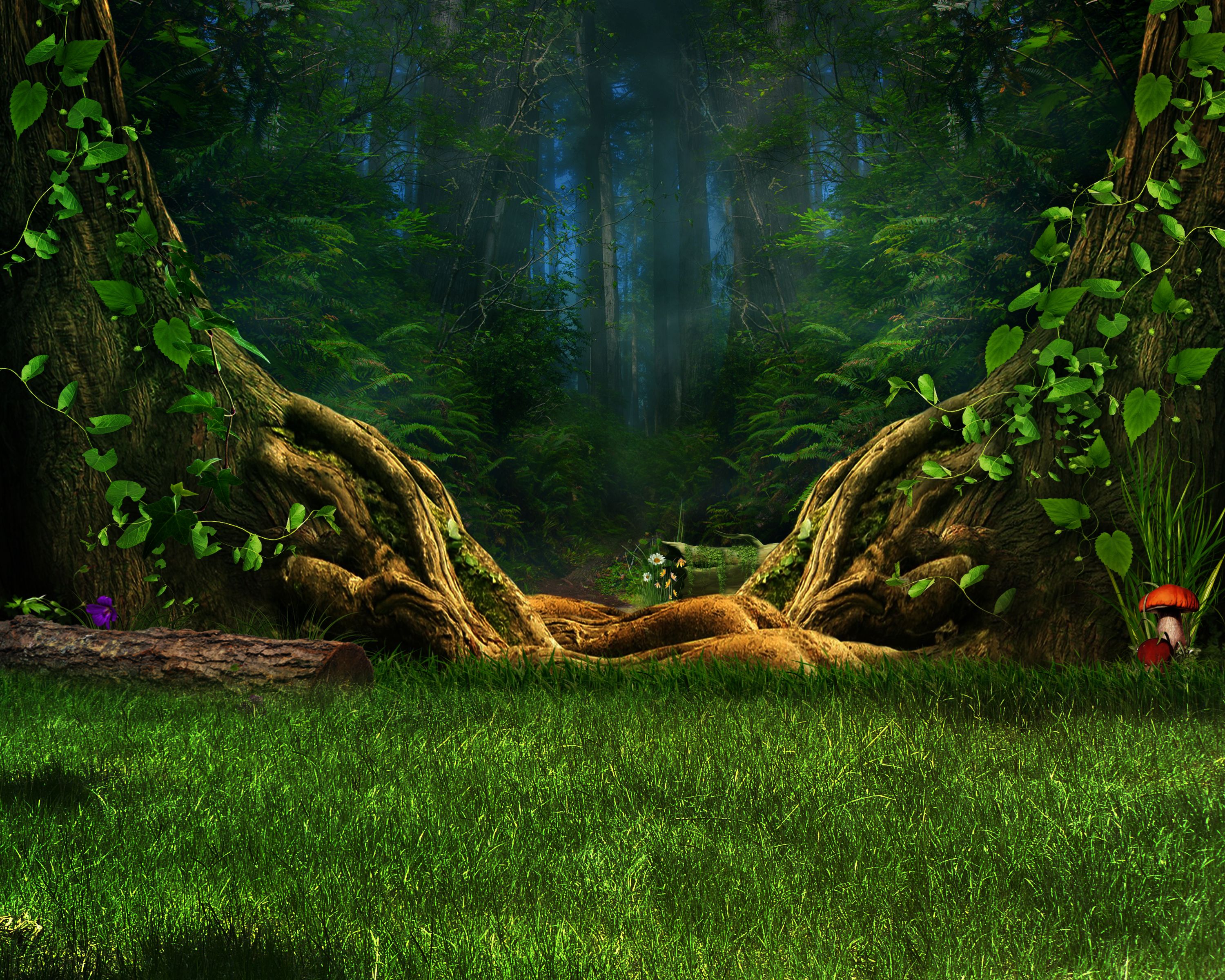 Enchanted Forest HD Wallpaper