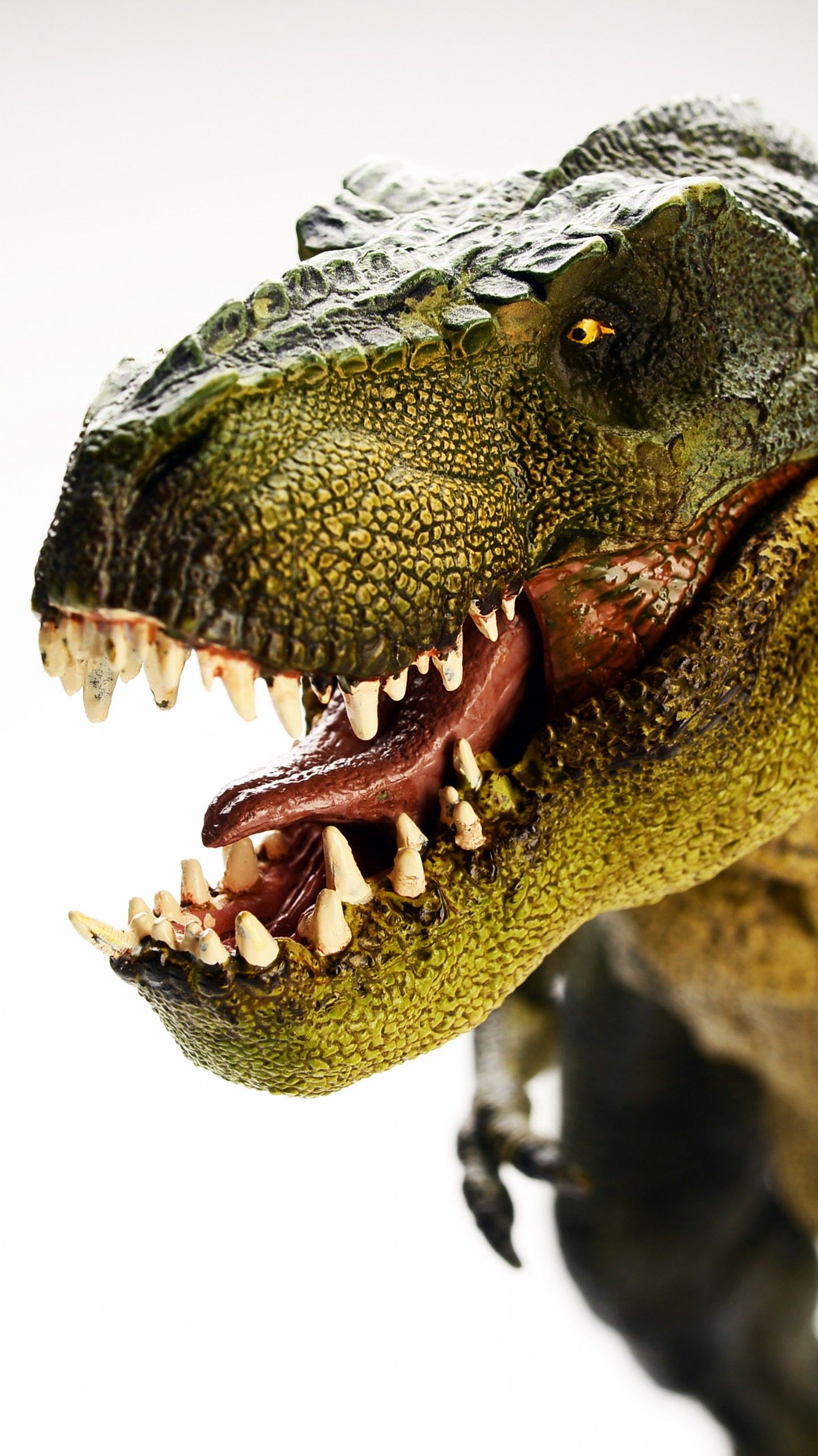 Wallpaper Dinosaur, Tyrannosaurus, T Rex, 5K, Animals
