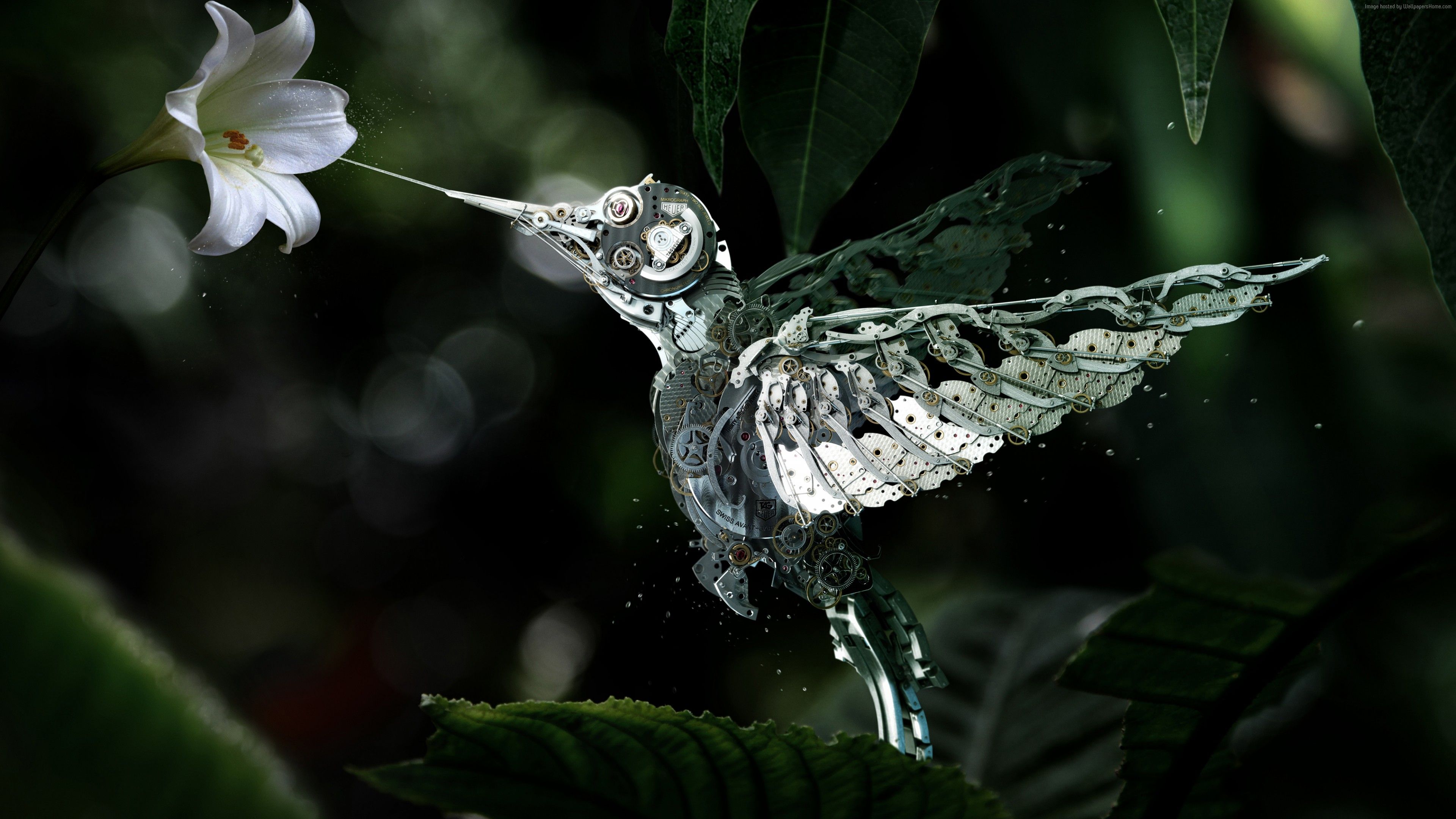 Wallpaper Hummingbird, Сolibri, steampunk, flower, leaves, green
