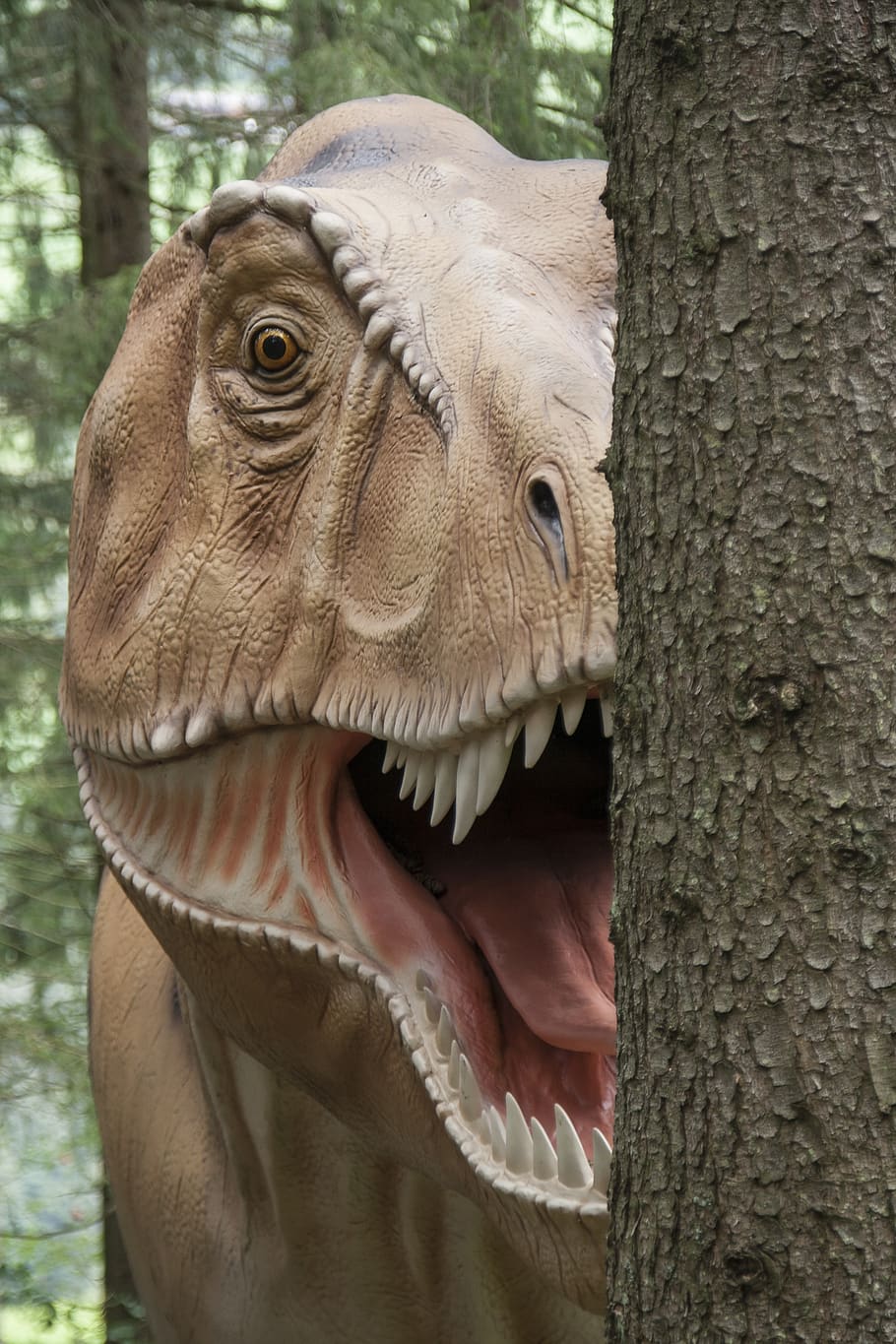 HD wallpaper: rex, dino, t rex, dinosaur, carnivores, replica