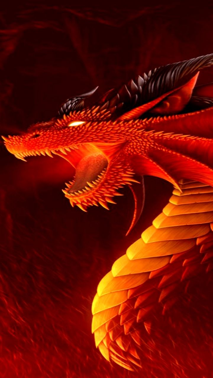 Fantasy Dragon (720x1280) Wallpaper
