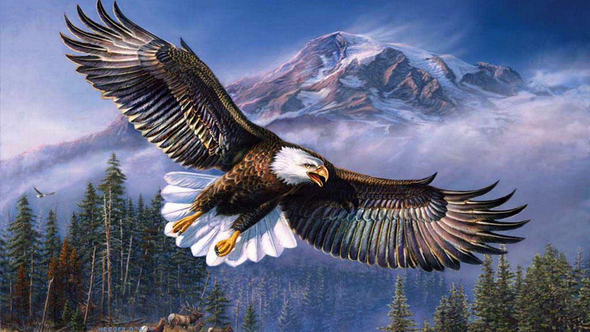 Beautiful Background Bald Eagle In Flight, Wings Spread HD