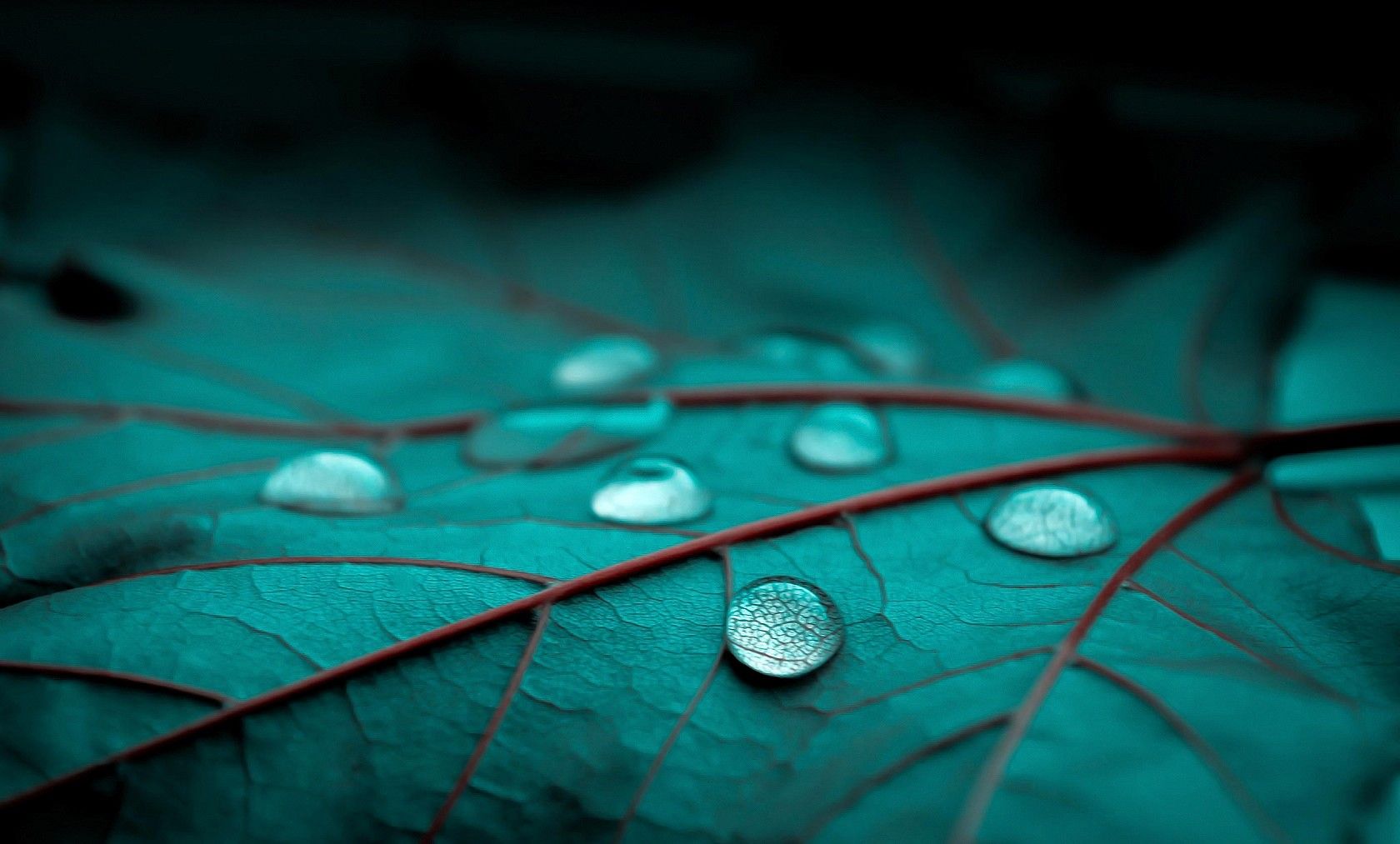 Background Download High Resolution Desktop Wallpaper HD