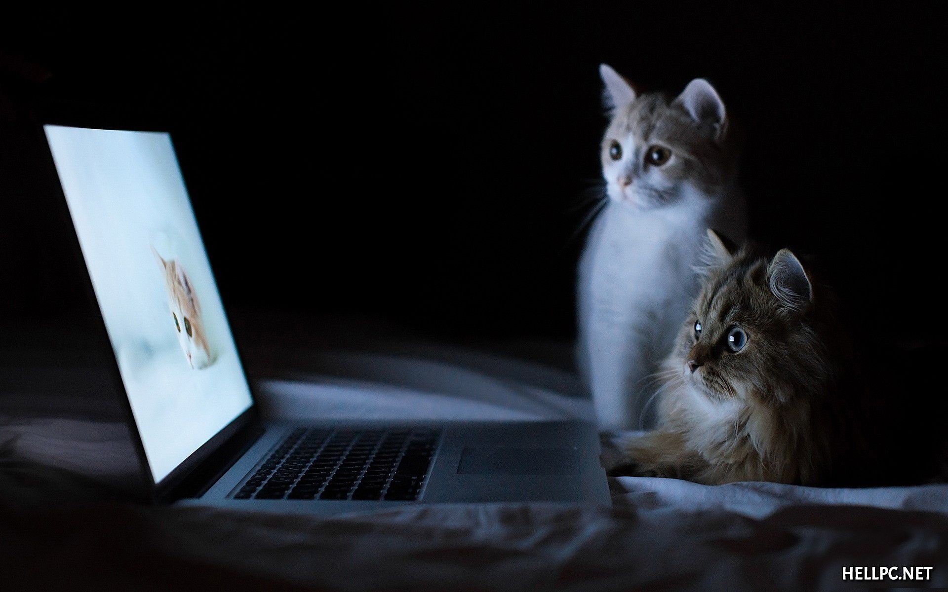 Free Pc Desktop Wallpaper