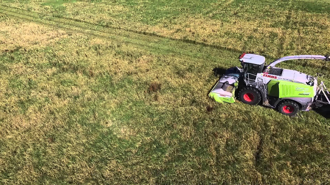 Claas Jaguar 940 mowing grass