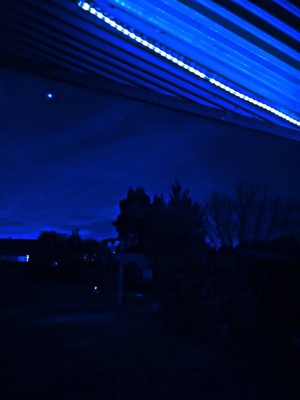 Neon blue night wallpaper