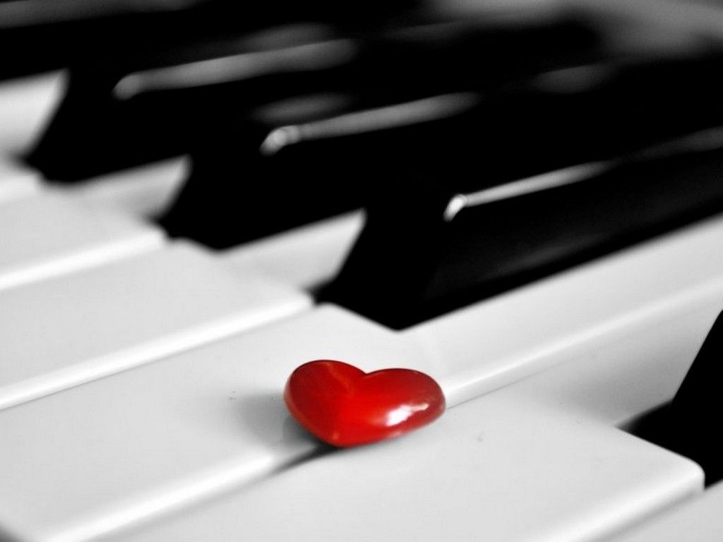Rose Piano Wallpaper Love. Piano, Music love, Music