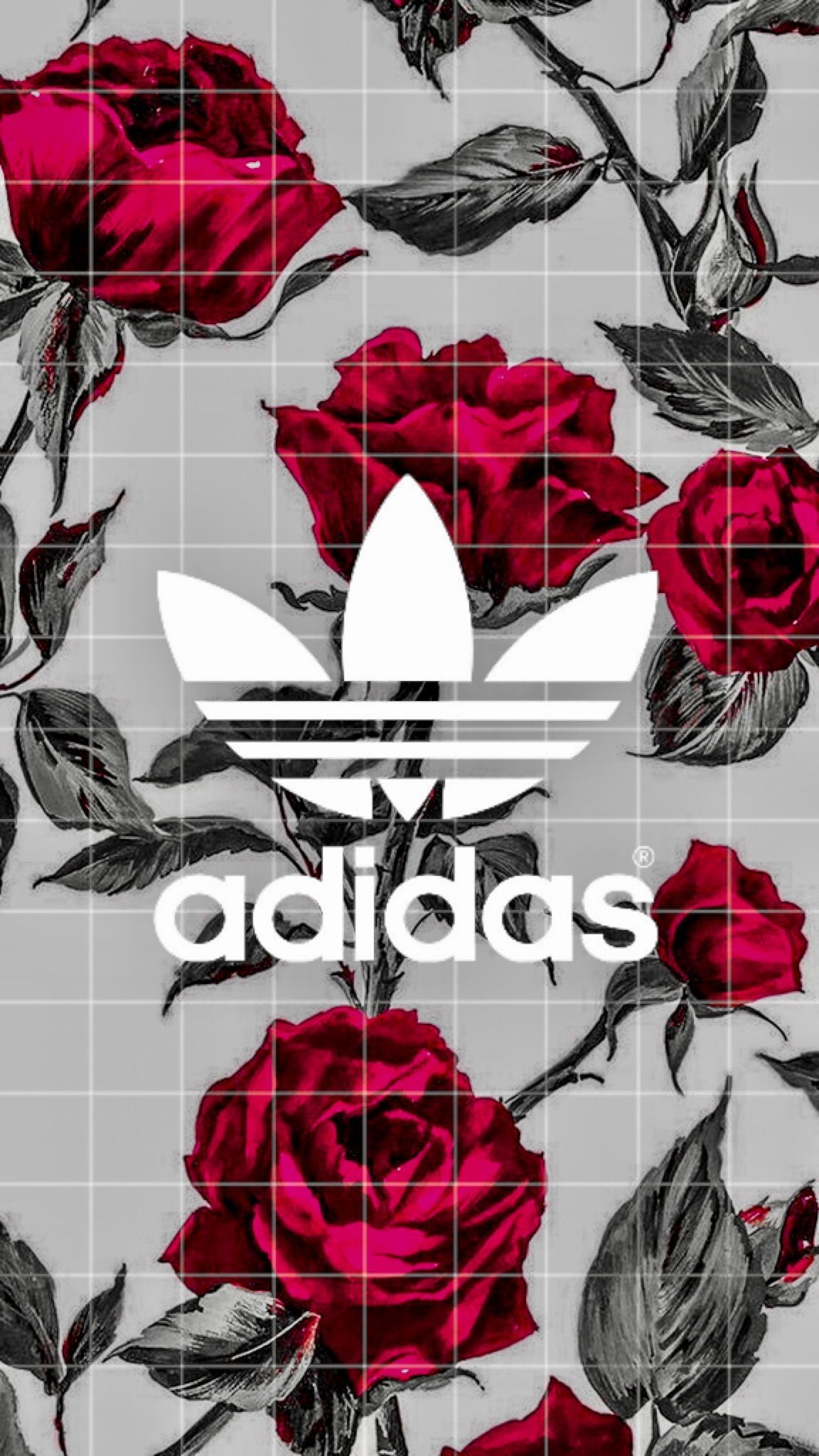Free download roses red black adidas wallpaper iphone iPhone